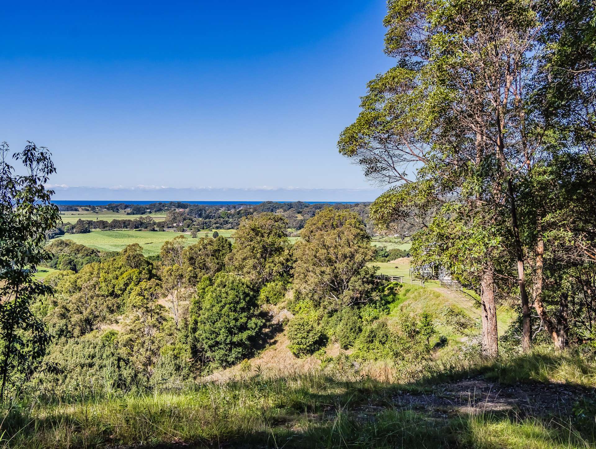 81 Kielys Road, Mooball For Sale by Farmbuy.com - image 20