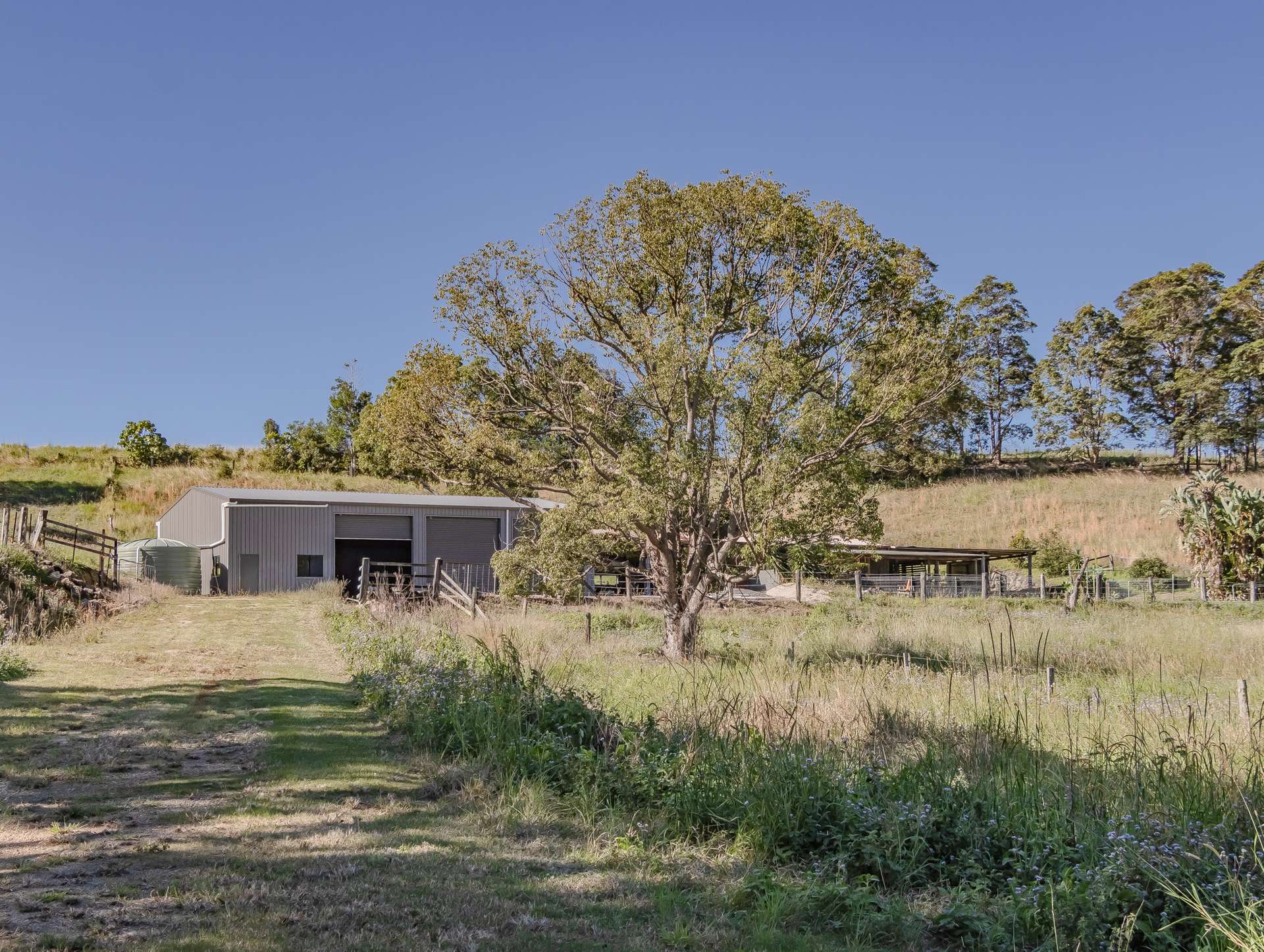 81 Kielys Road, Mooball For Sale by Farmbuy.com - image 28