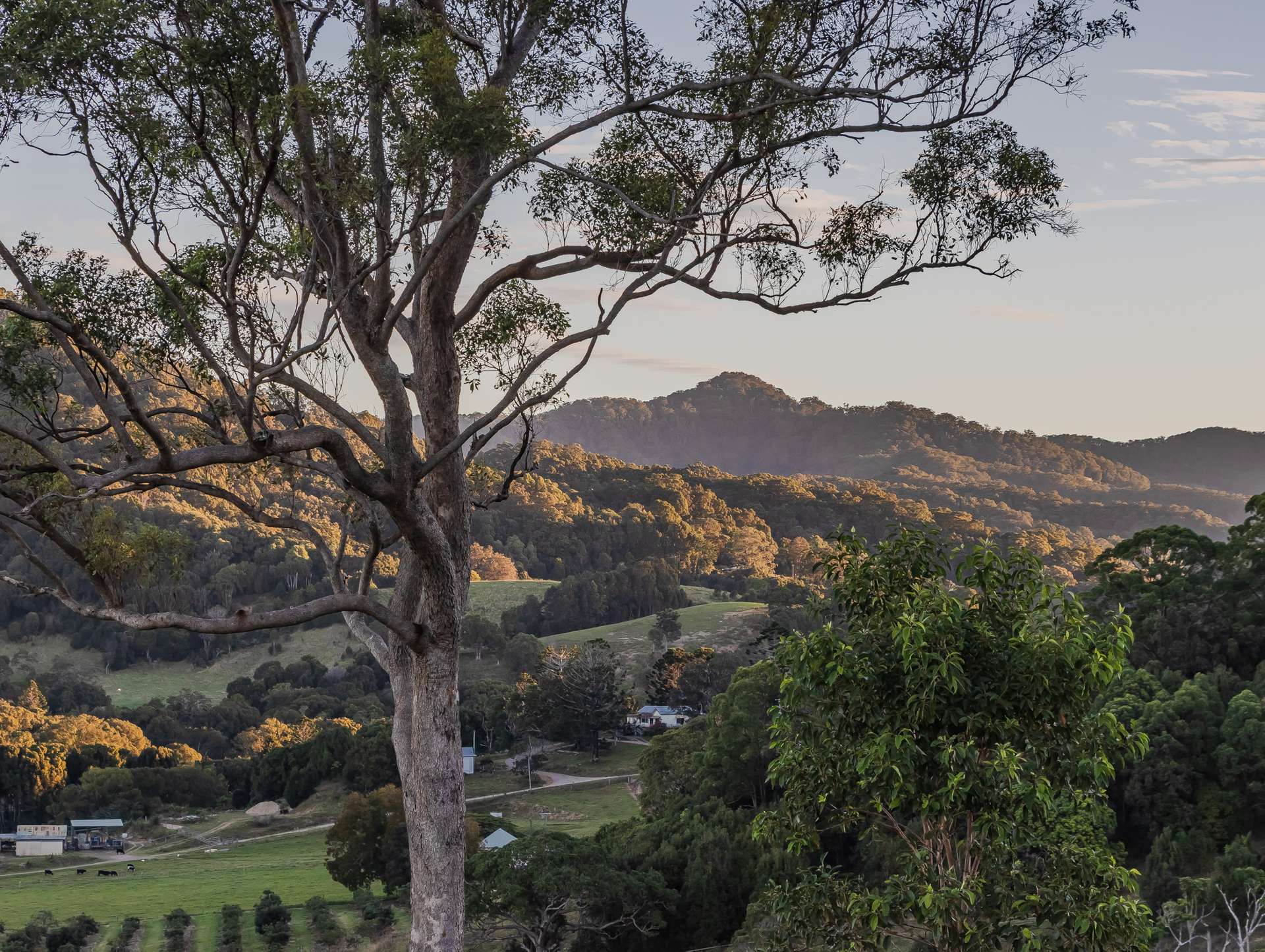 81 Kielys Road, Mooball For Sale by Farmbuy.com - image 33