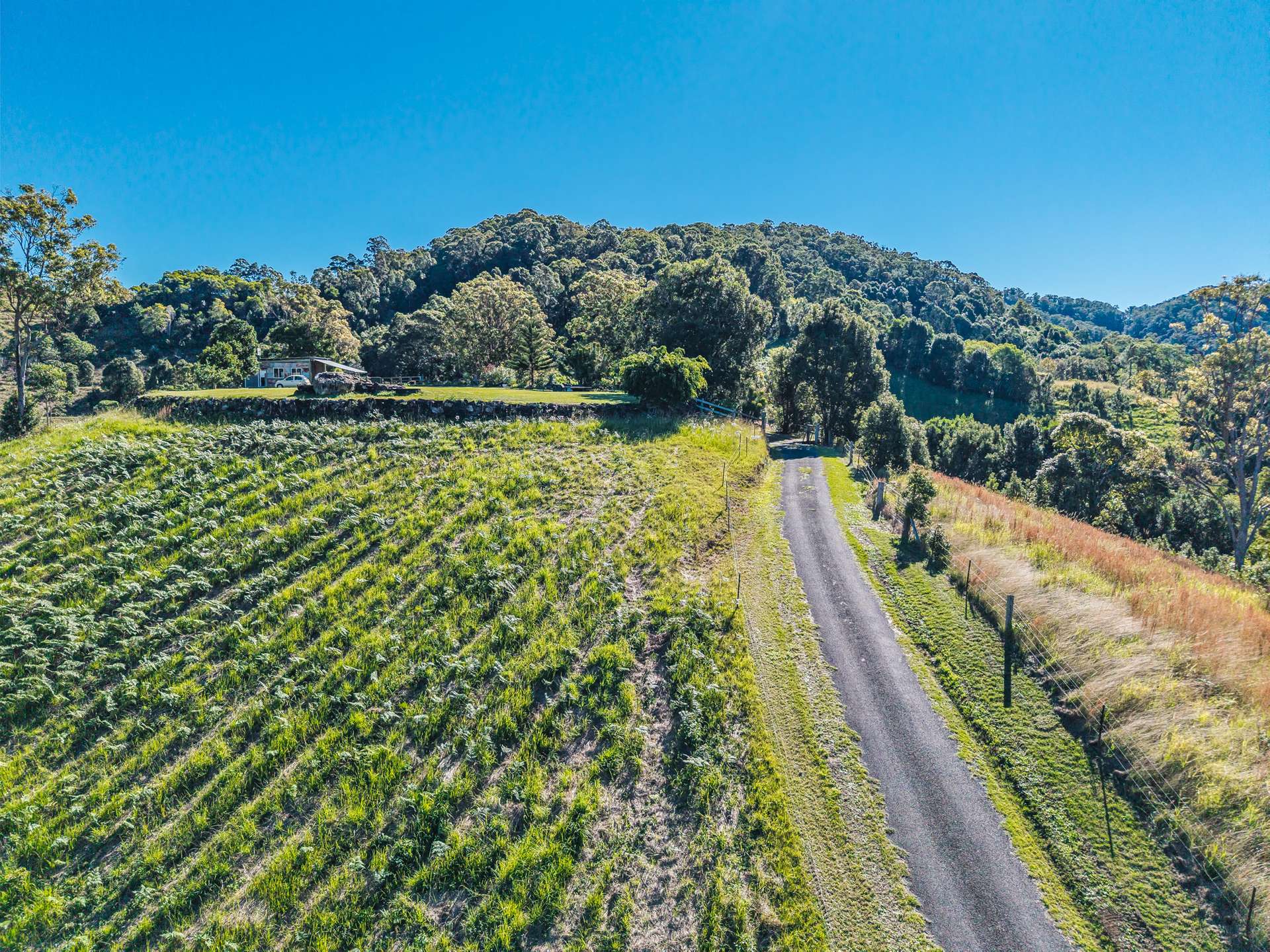 81 Kielys Road, Mooball For Sale by Farmbuy.com - image 8