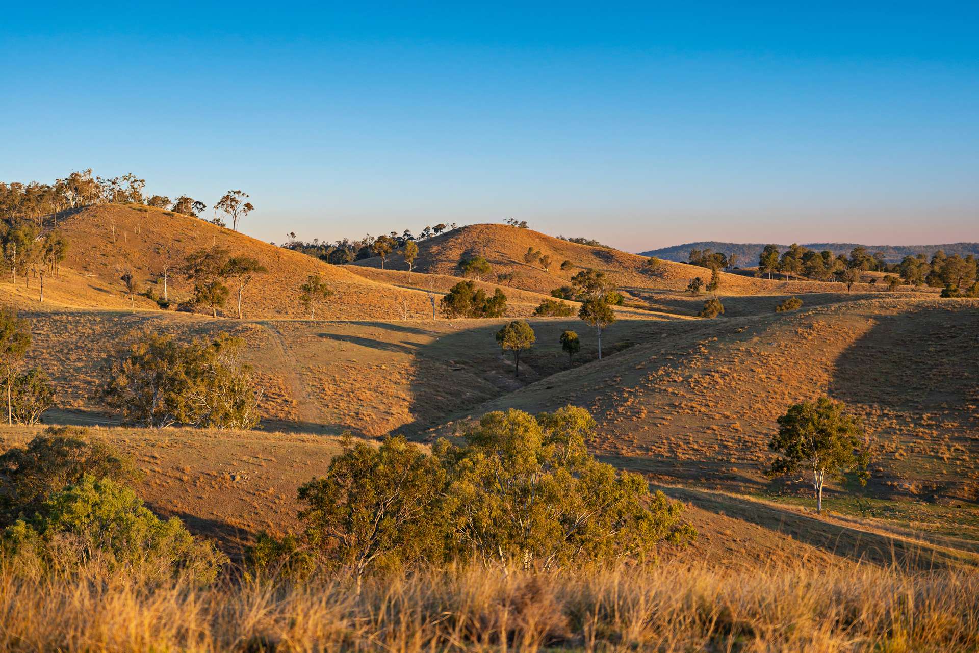 2059 Wivenhoe Somerset Road, Bryden Auction by Farmbuy.com - image 4
