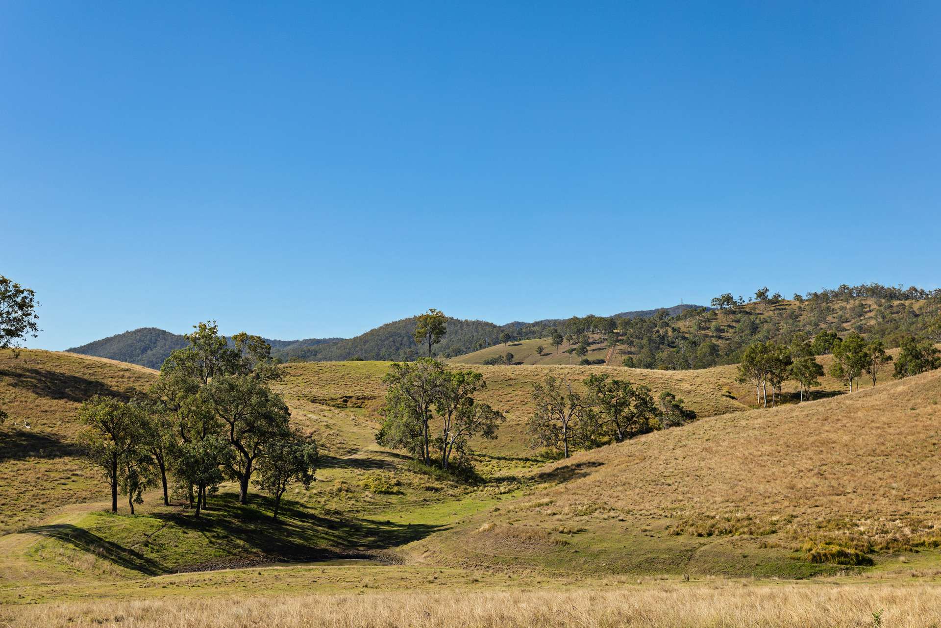 2059 Wivenhoe Somerset Road, Bryden Auction by Farmbuy.com - image 18
