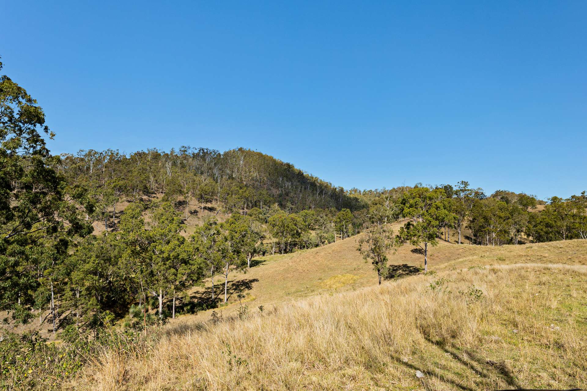 2059 Wivenhoe Somerset Road, Bryden Auction by Farmbuy.com - image 35