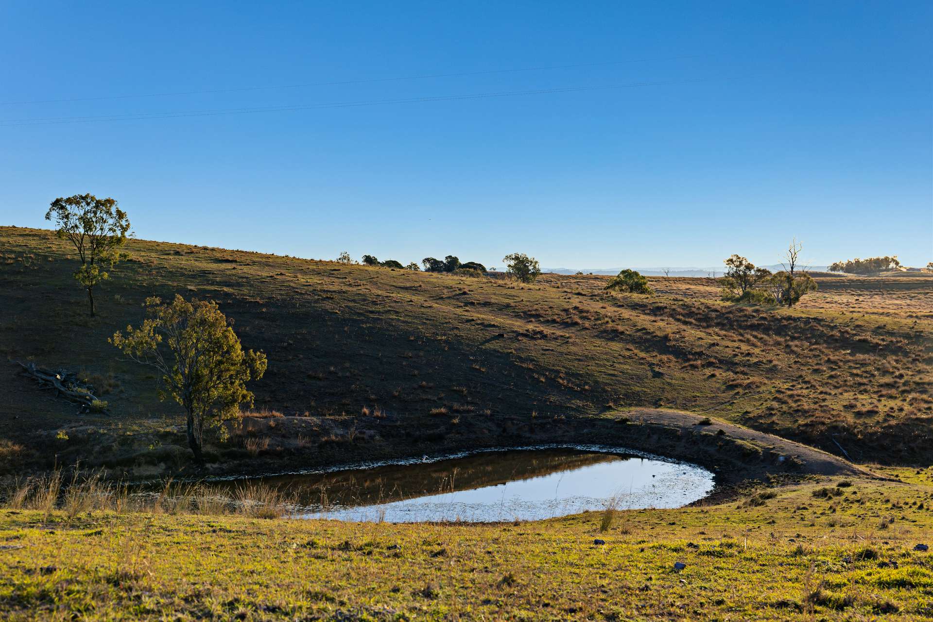 2059 Wivenhoe Somerset Road, Bryden Auction by Farmbuy.com - image 7