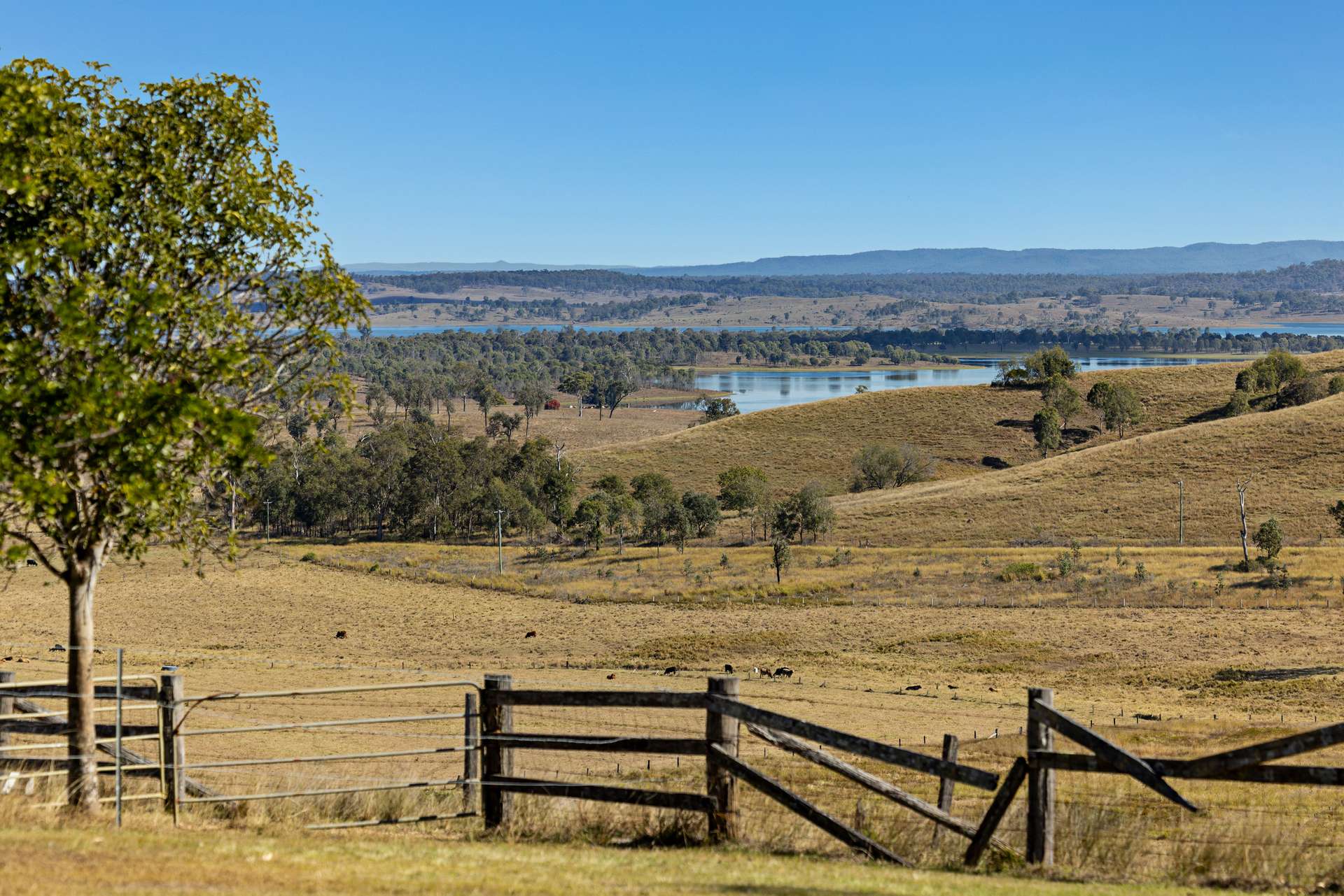 2059 Wivenhoe Somerset Road, Bryden Auction by Farmbuy.com - image 29