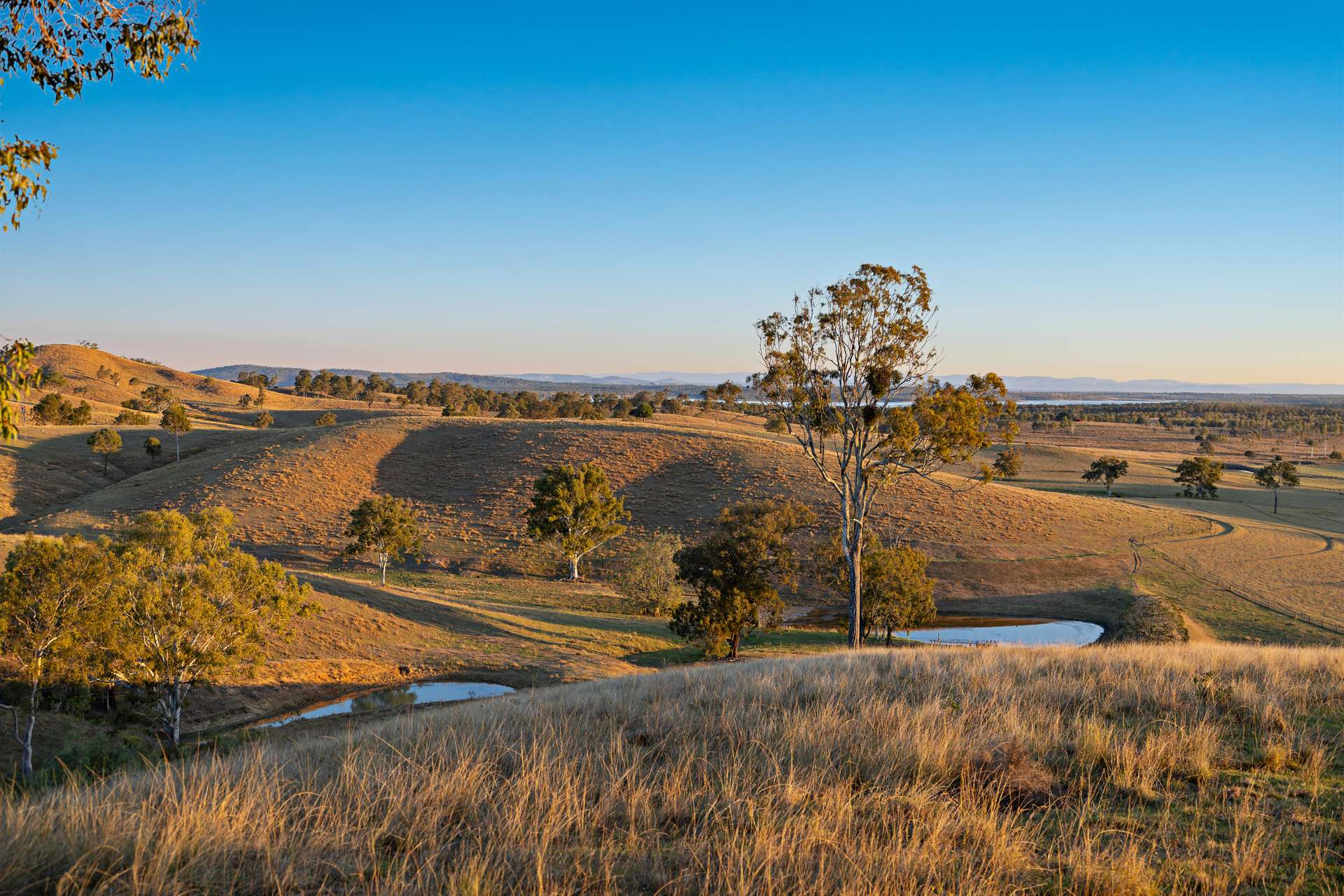 2059 Wivenhoe Somerset Road, Bryden Auction by Farmbuy.com - image 4