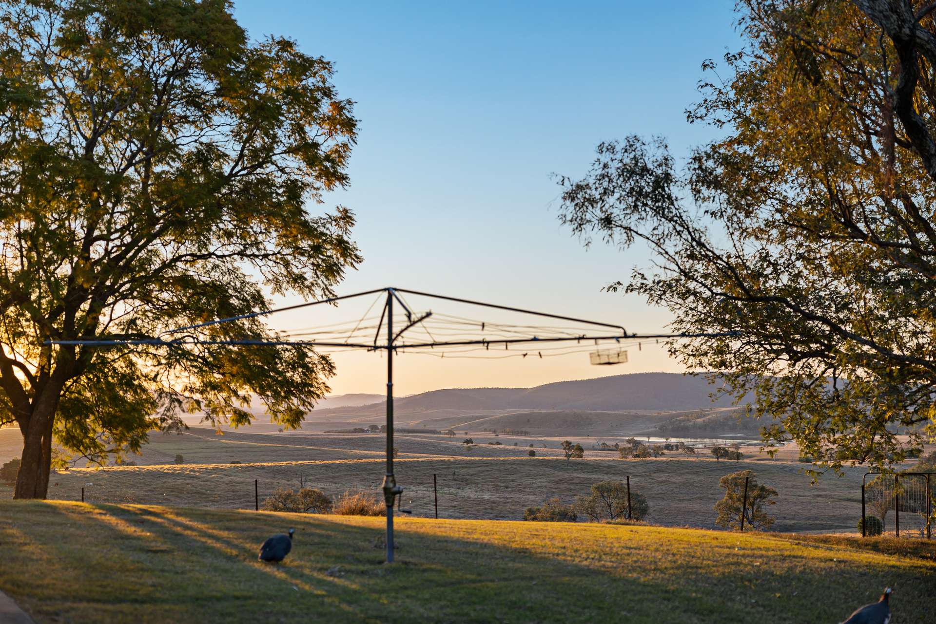 2059 Wivenhoe Somerset Road, Bryden Auction by Farmbuy.com - image 28