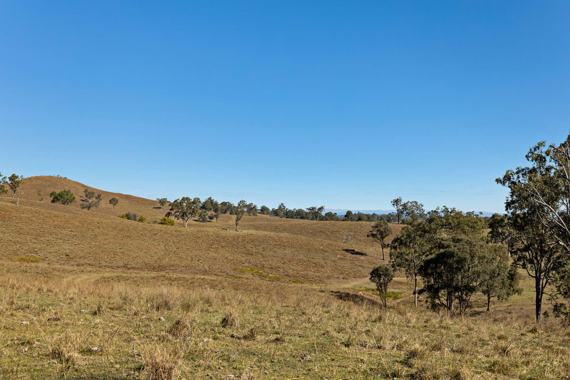 2059 Wivenhoe Somerset Road, Bryden Auction by Farmbuy.com - image 33