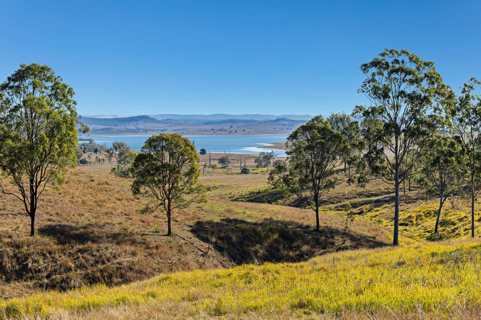 2059 Wivenhoe Somerset Road, Bryden Auction by Farmbuy.com - image 1