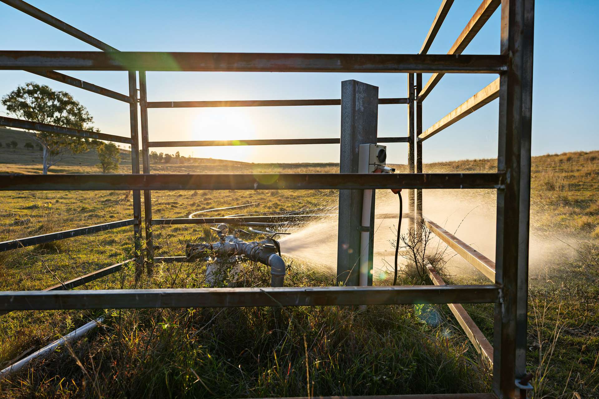 2059 Wivenhoe Somerset Road, Bryden Auction by Farmbuy.com - image 15