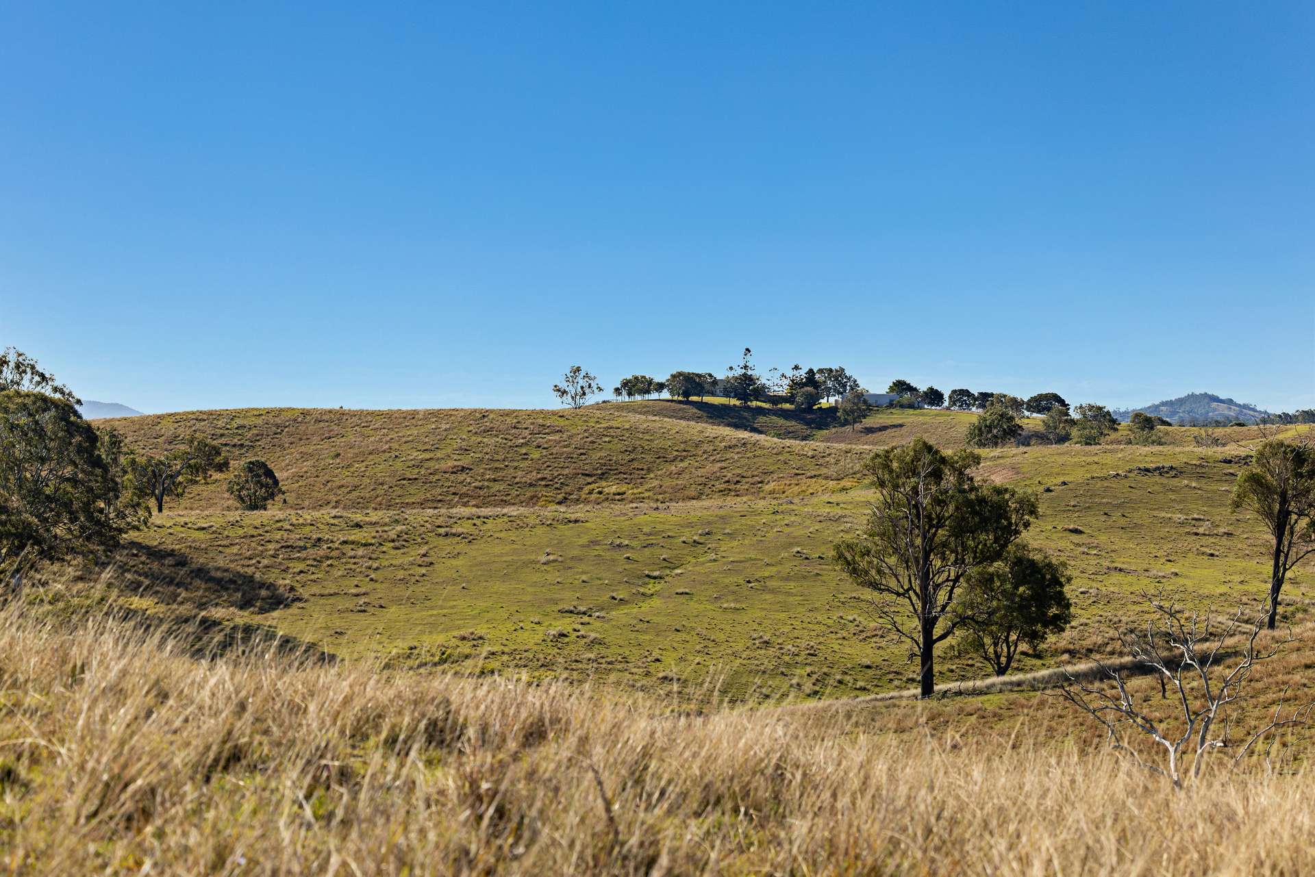 2059 Wivenhoe Somerset Road, Bryden Auction by Farmbuy.com - image 13