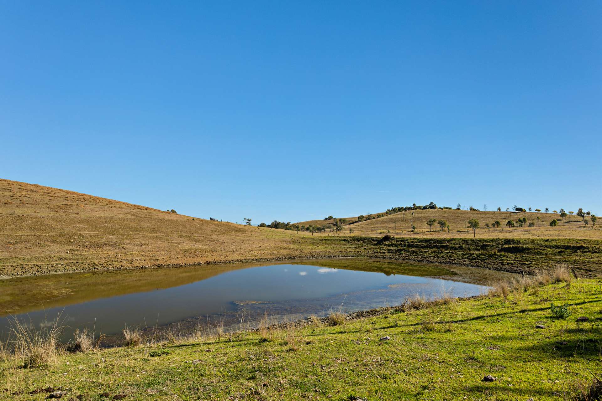 2059 Wivenhoe Somerset Road, Bryden Auction by Farmbuy.com - image 16