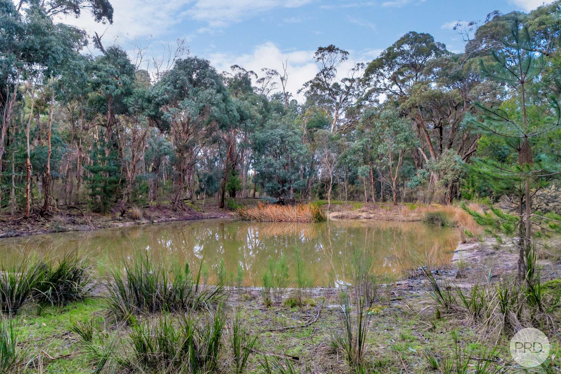 2280 Glenelg Highway, Scarsdale For Sale by Farmbuy.com - image 20