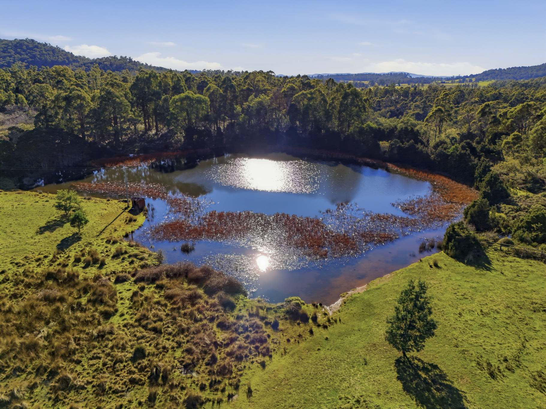 1157 Bridgenorth Road, Bridgenorth For Sale by Farmbuy.com - image 3