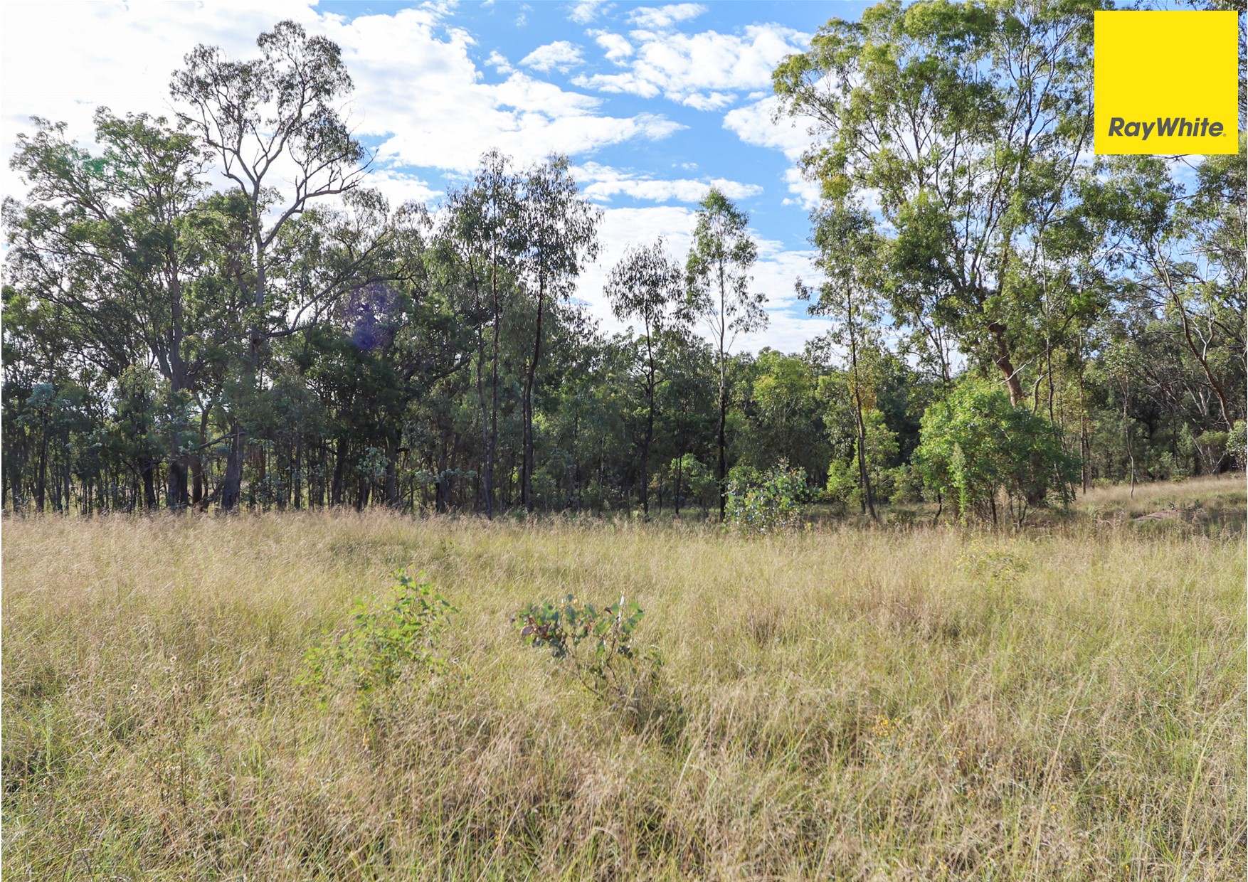 510 Mclachlans Lane, Inverell Sold by Farmbuy.com - image 8