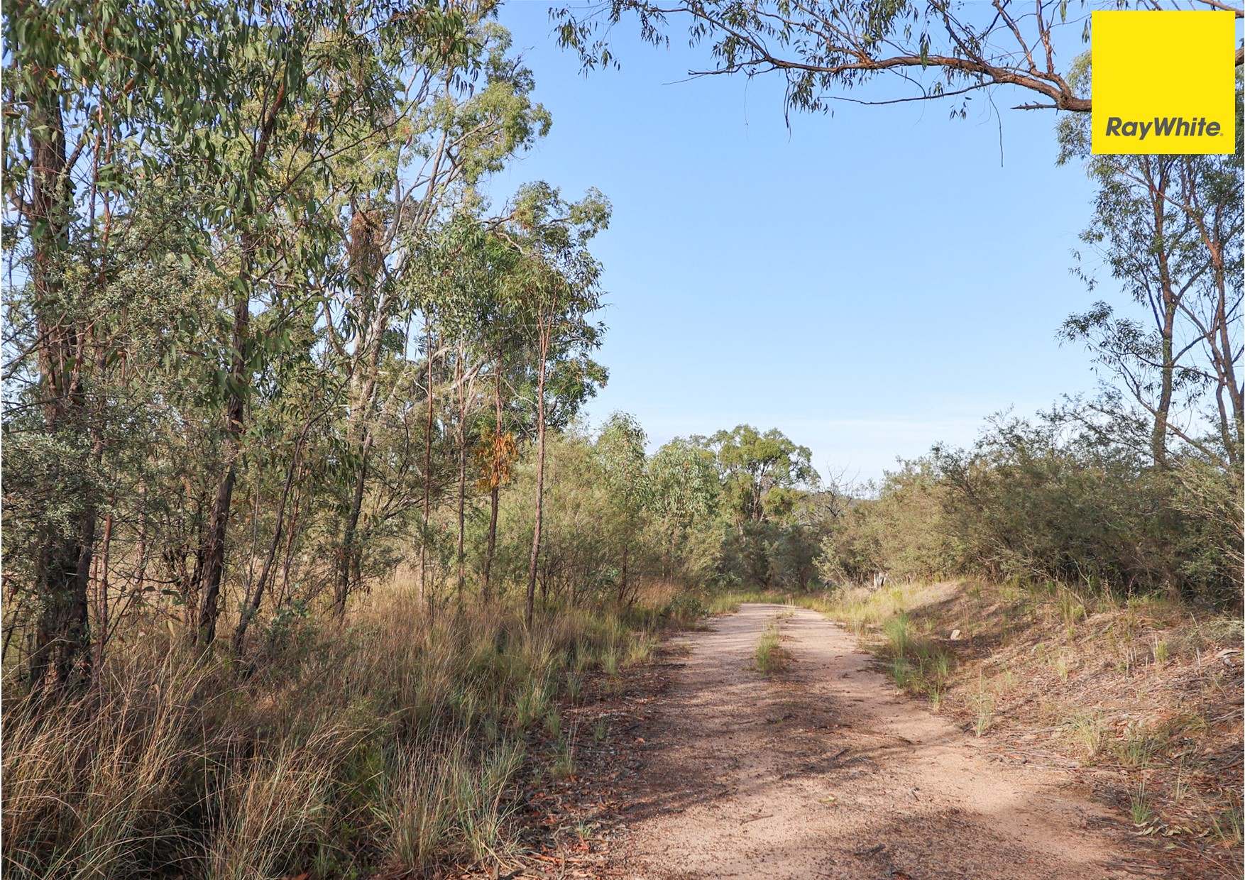 510 Mclachlans Lane, Inverell Sold by Farmbuy.com - image 19