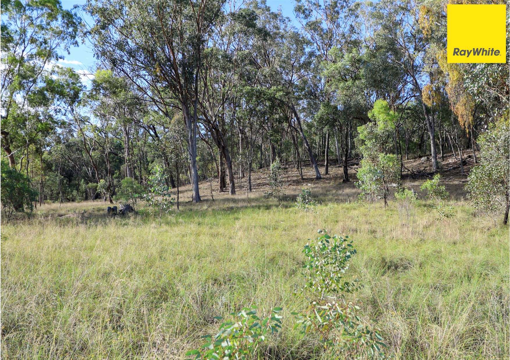 510 Mclachlans Lane, Inverell Sold by Farmbuy.com - image 7