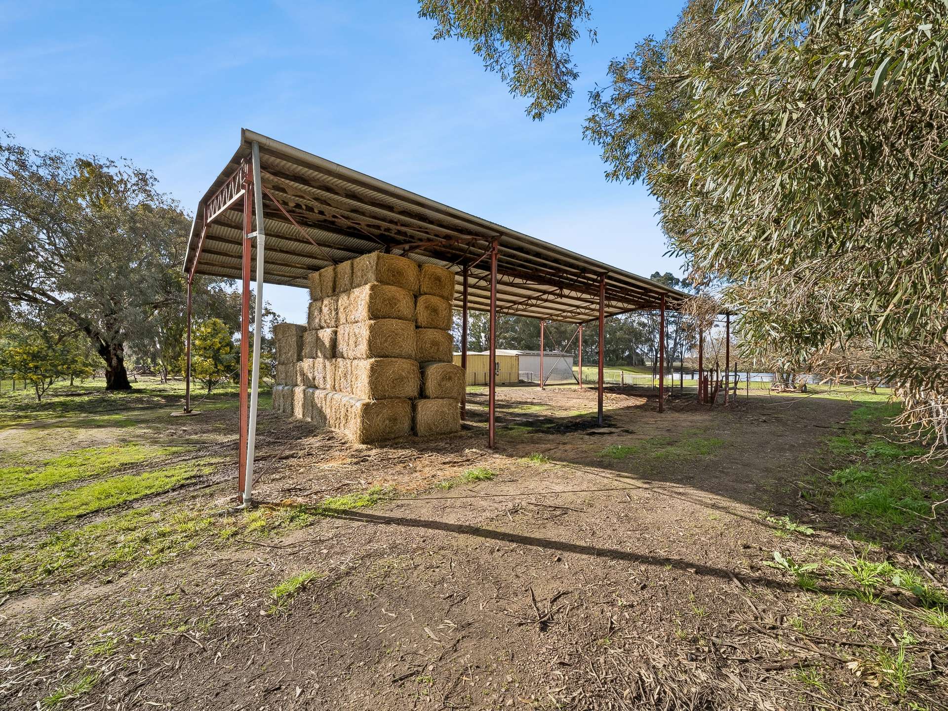 446 Nagambie-Rushworth Road, Bailieston For Sale by Farmbuy.com - image 19