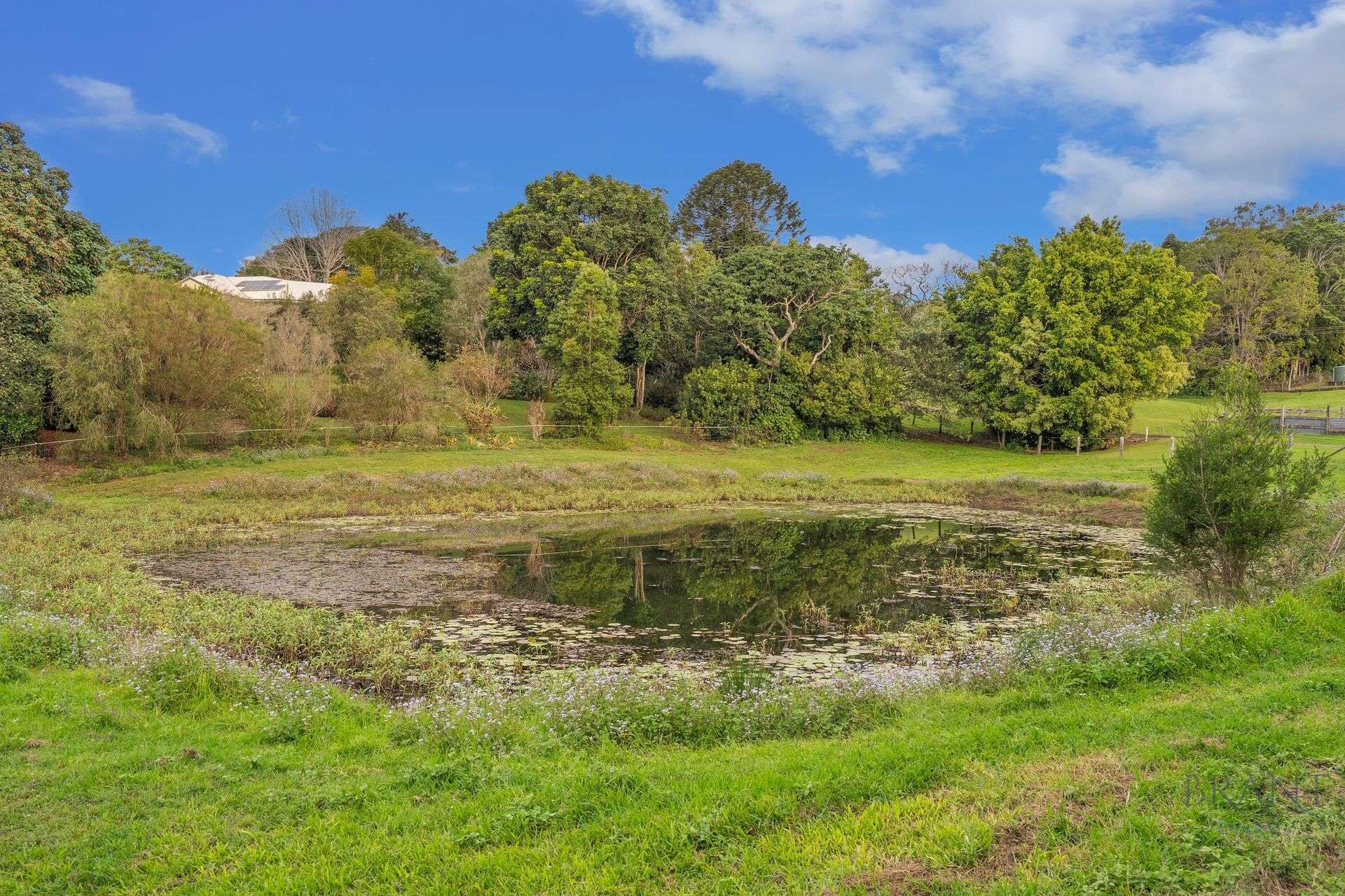 115 Burgum Road, North Maleny For Sale by Farmbuy.com - image 31