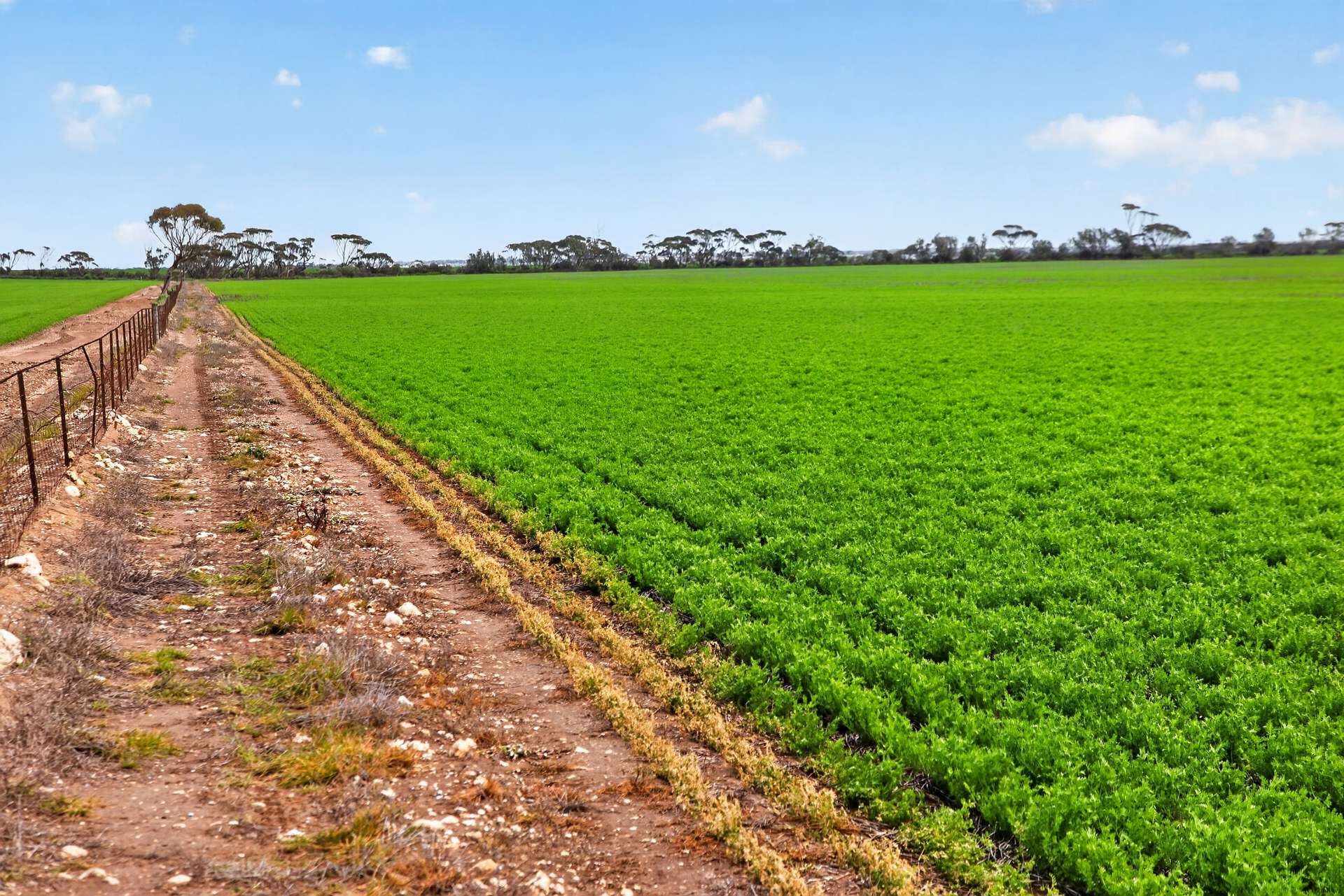 'Shepherds' Thomas Plains Road, Thrington For Sale by Farmbuy.com - image 9