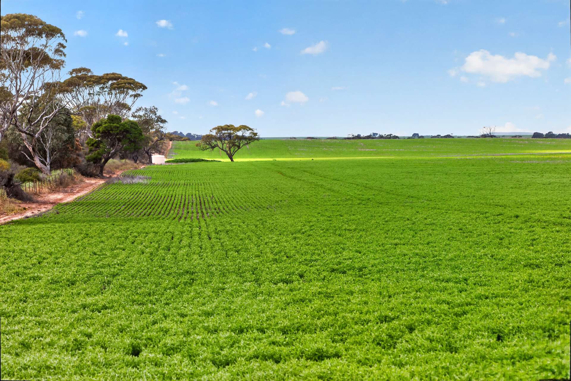 'Shepherds' Thomas Plains Road, Thrington For Sale by Farmbuy.com - image 7