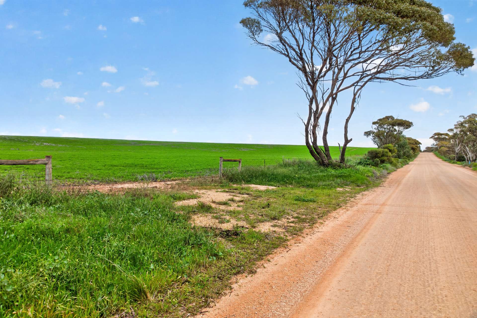 'Shepherds' Thomas Plains Road, Thrington For Sale by Farmbuy.com - image 6