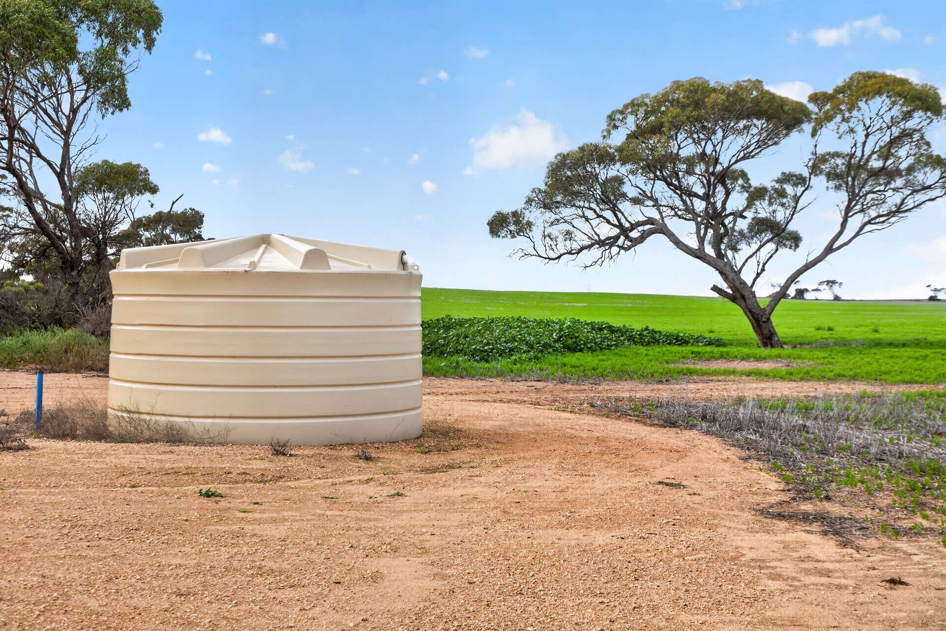'Shepherds' Thomas Plains Road, Thrington For Sale by Farmbuy.com - image 4