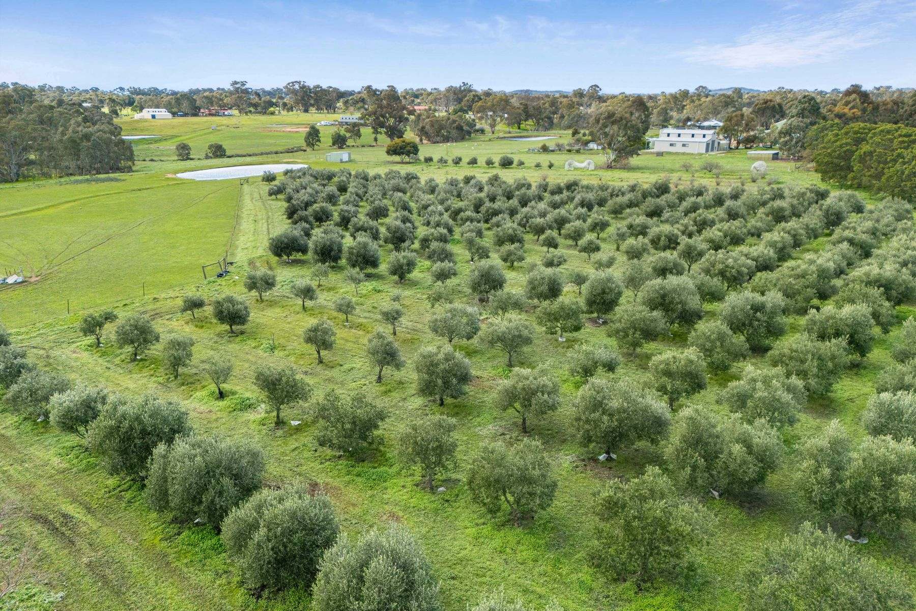 115 Wild Cherry Road, Lockwood South For Sale by Farmbuy.com - image 7