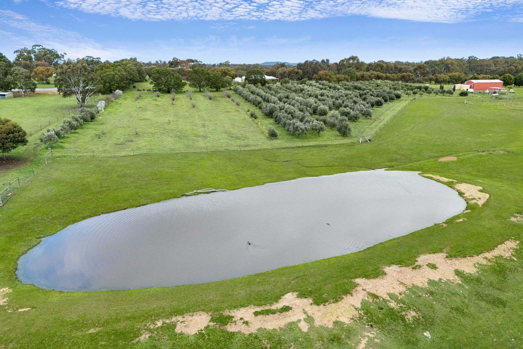 115 Wild Cherry Road, Lockwood South For Sale by Farmbuy.com - image 6