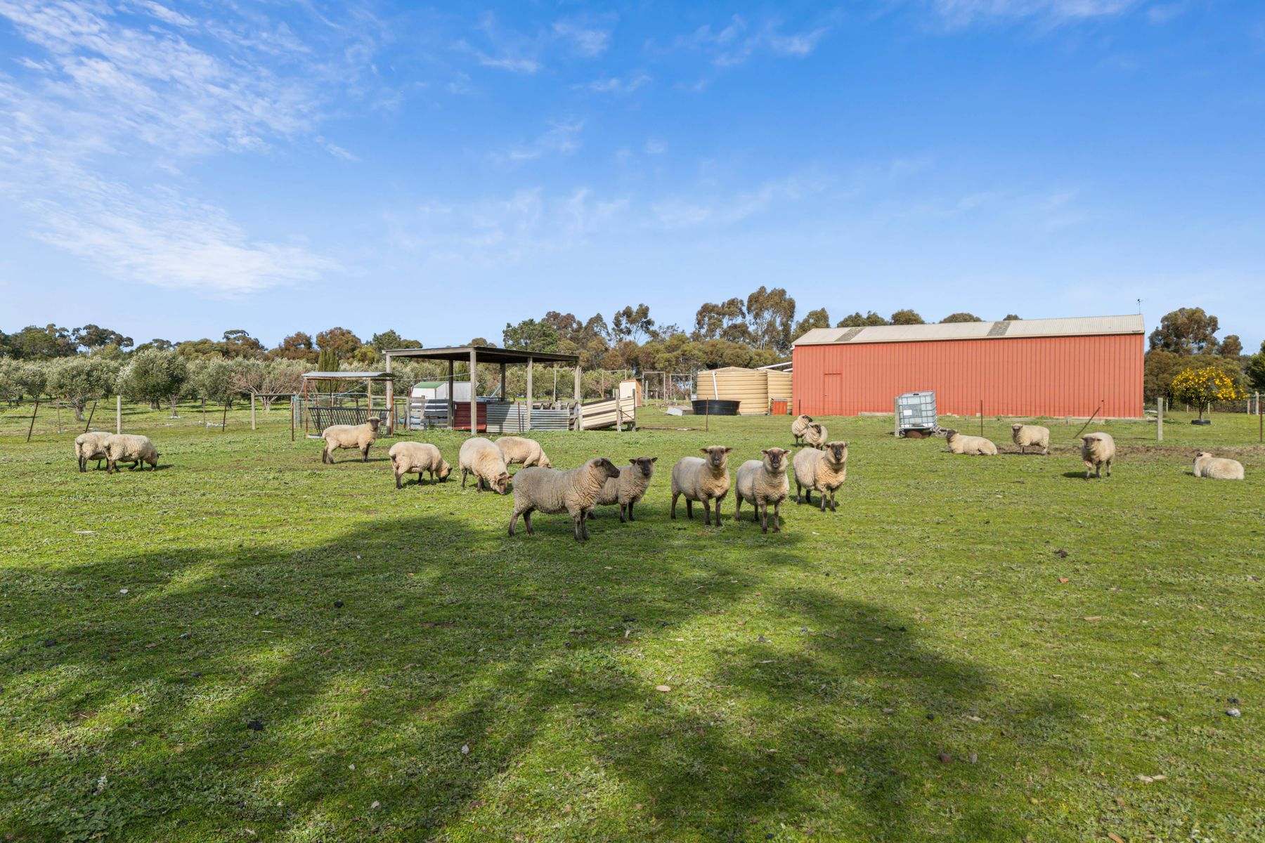 115 Wild Cherry Road, Lockwood South For Sale by Farmbuy.com - image 4