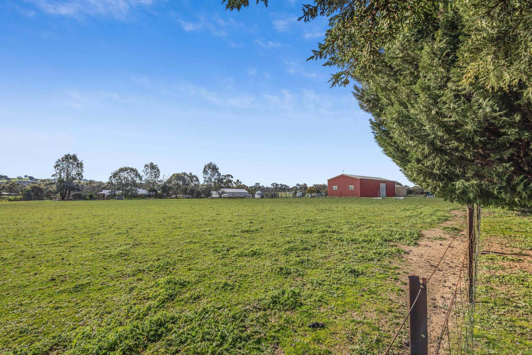 115 Wild Cherry Road, Lockwood South For Sale by Farmbuy.com - image 3