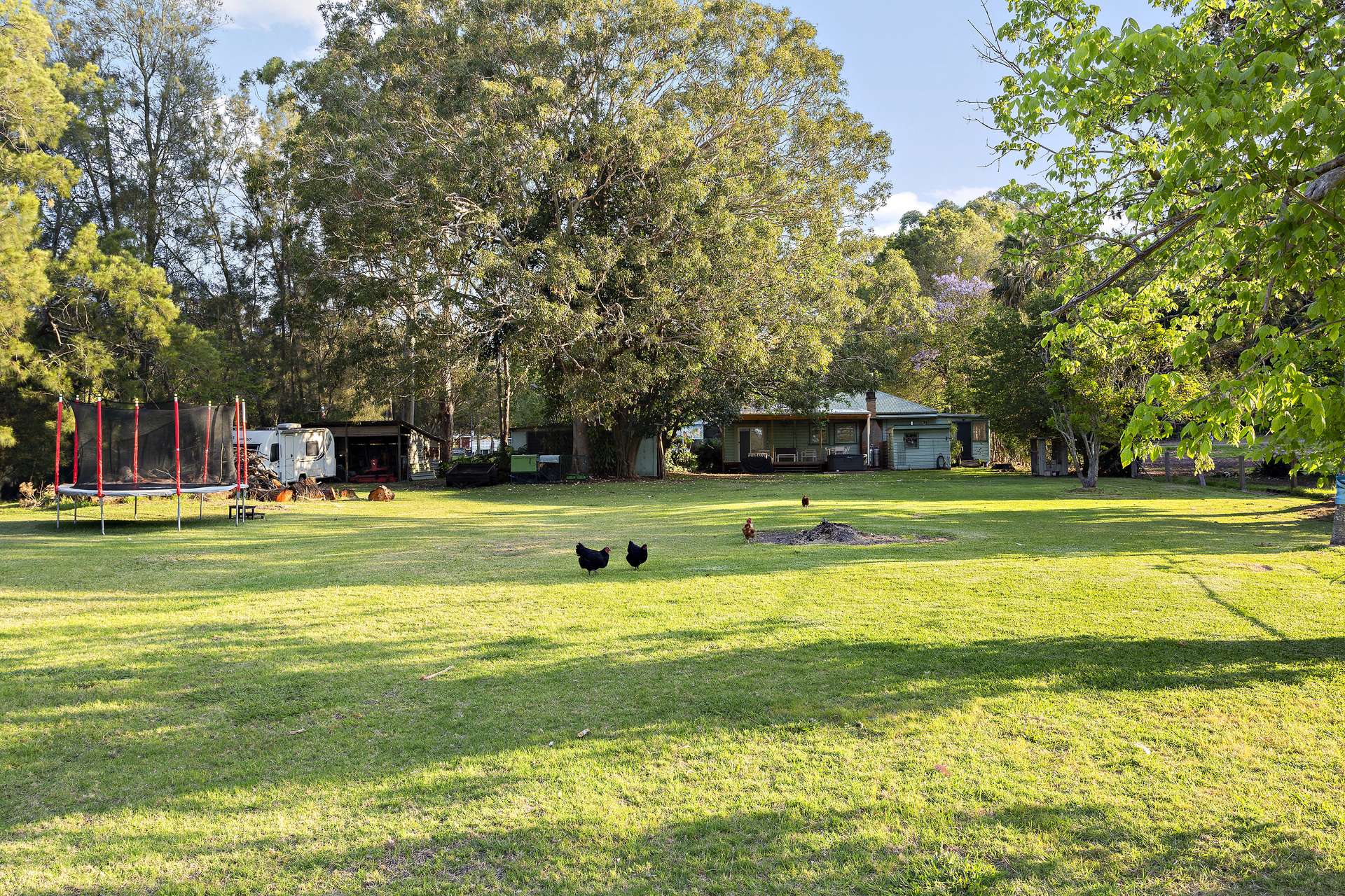 43 Cherry Road, Eleebana Sold by Farmbuy.com - image 3