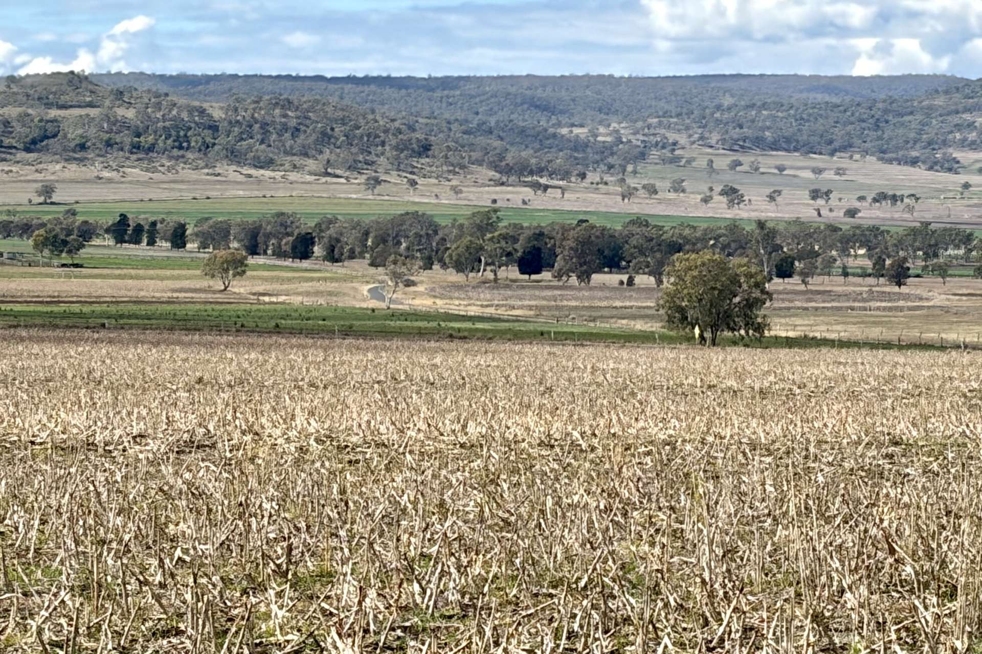 Lot Lot 4,  Steele Rudd Road, Budgee For Sale by Farmbuy.com - image 11