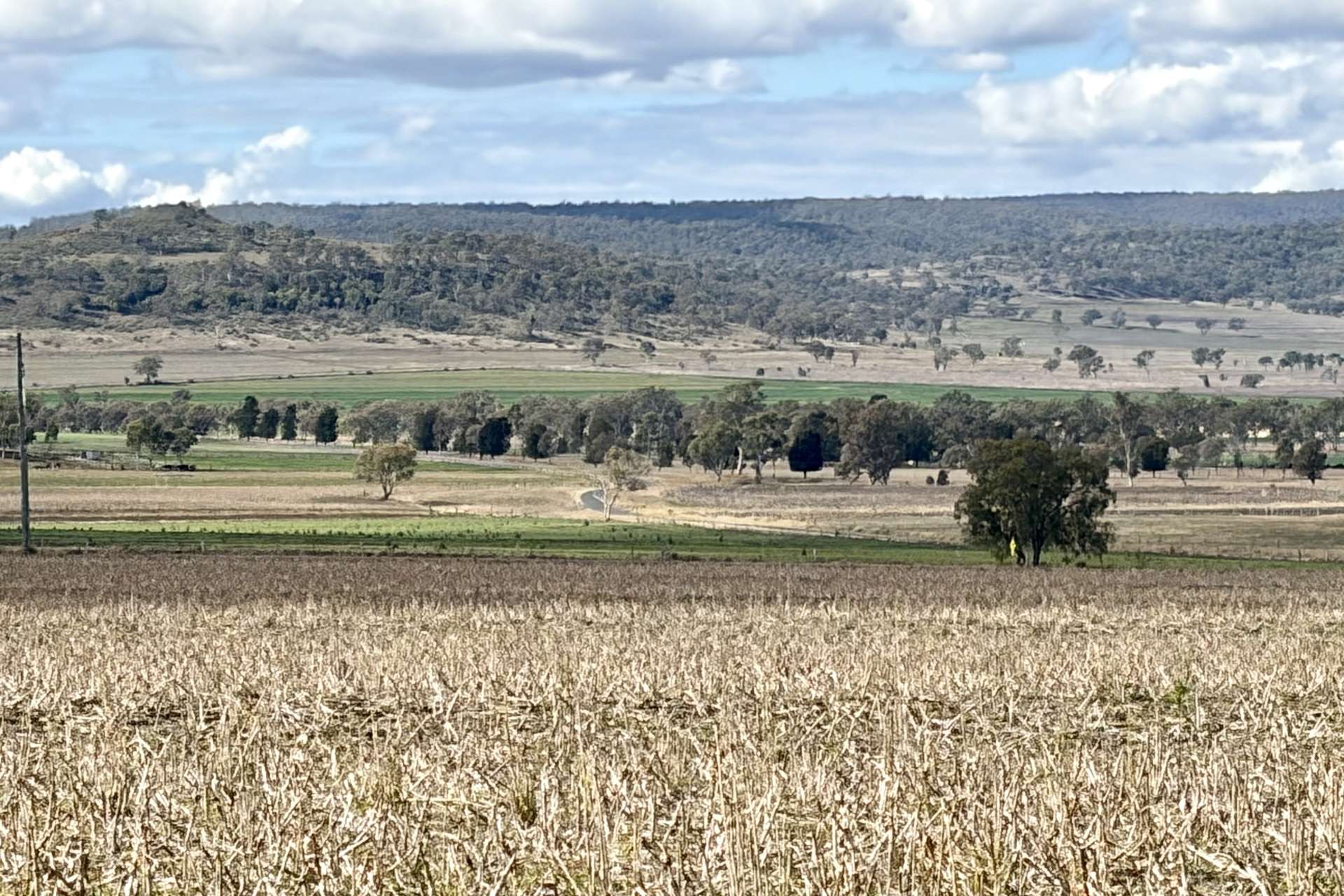Lot Lot 4,  Steele Rudd Road, Budgee For Sale by Farmbuy.com - image 12