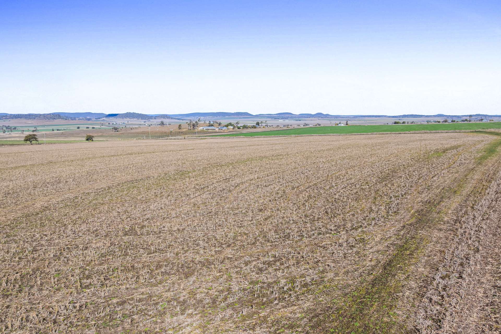 Lot Lot 4,  Steele Rudd Road, Budgee For Sale by Farmbuy.com - image 6