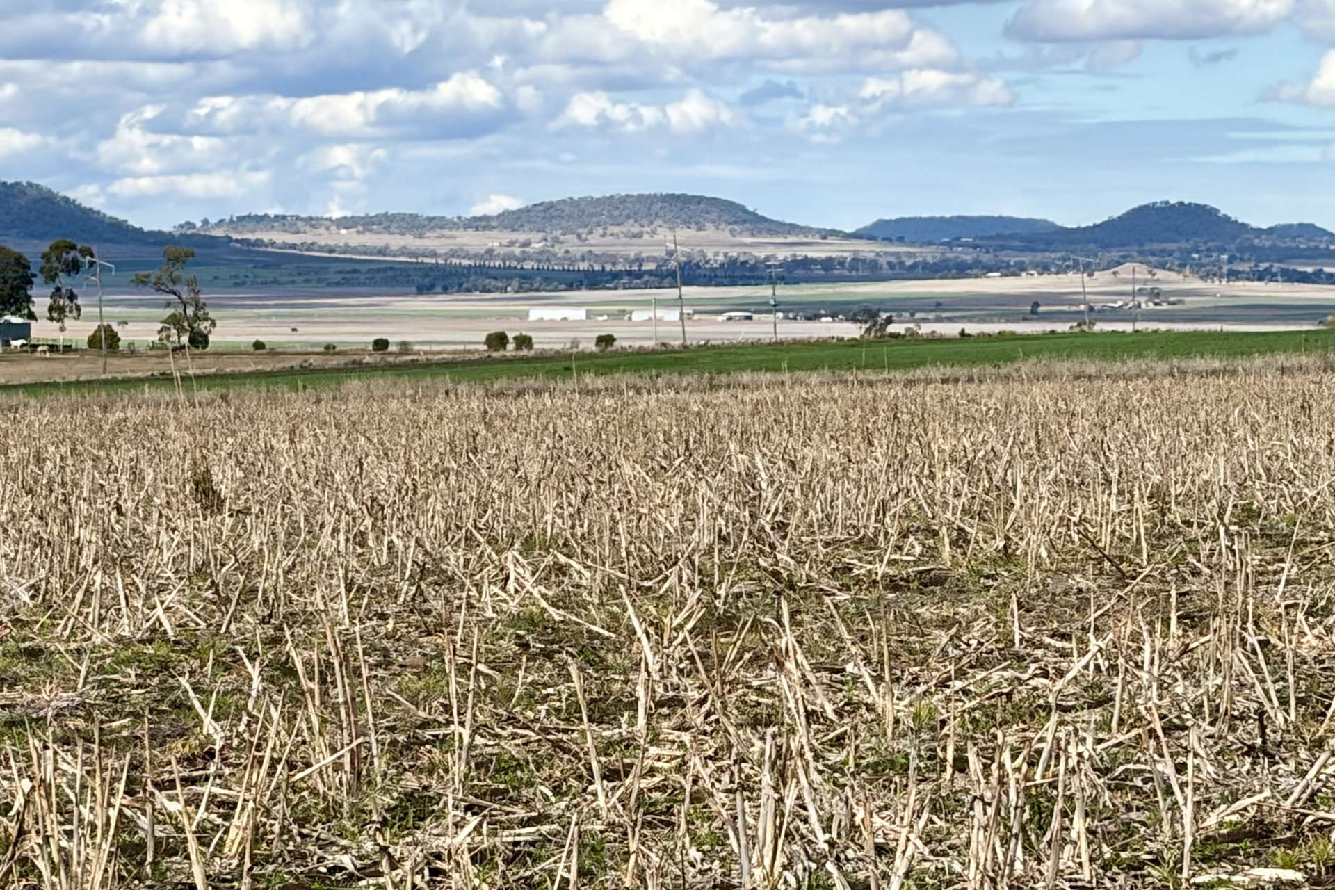Lot Lot 4,  Steele Rudd Road, Budgee For Sale by Farmbuy.com - image 15