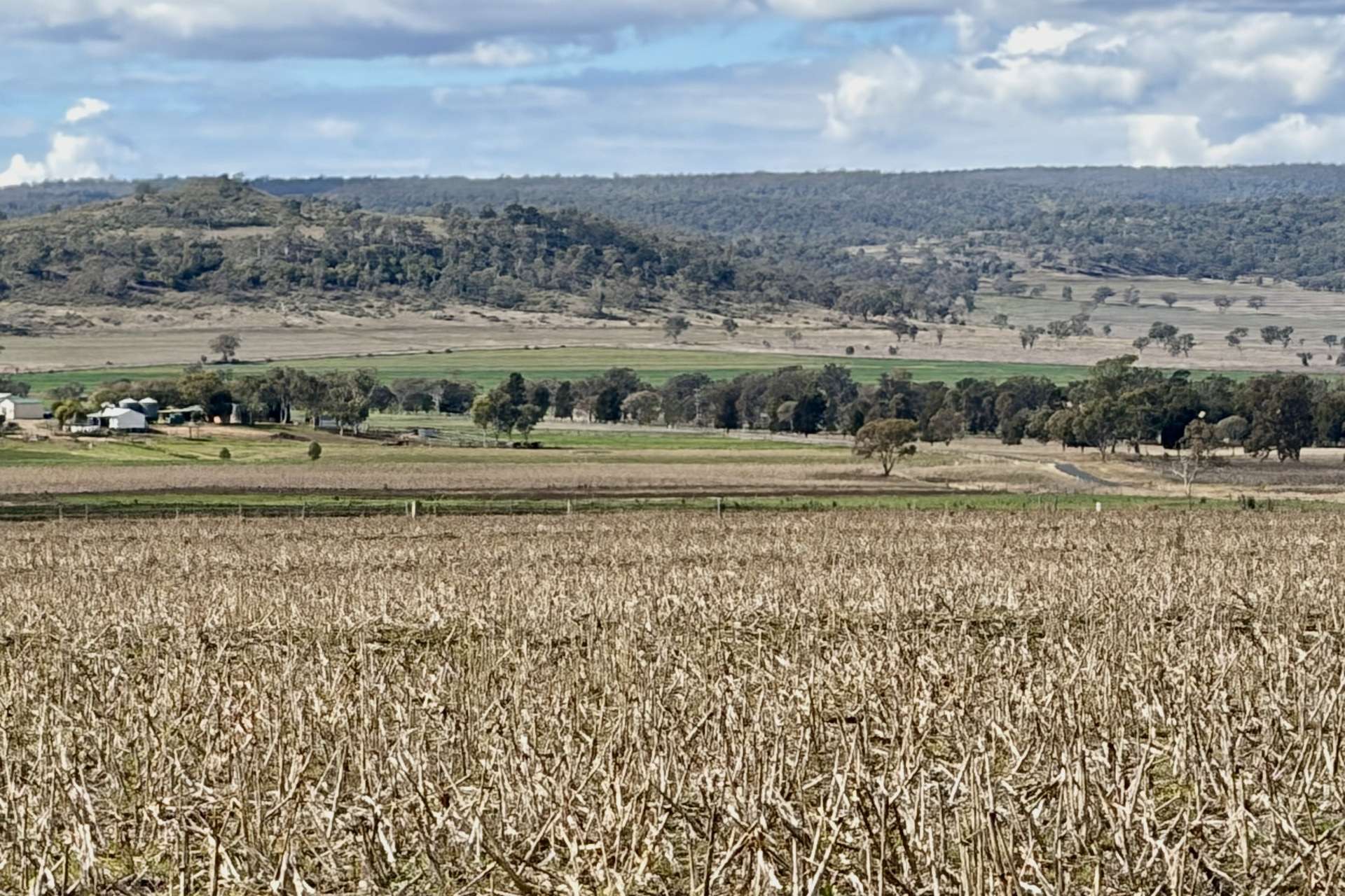 Lot Lot 4,  Steele Rudd Road, Budgee For Sale by Farmbuy.com - image 13
