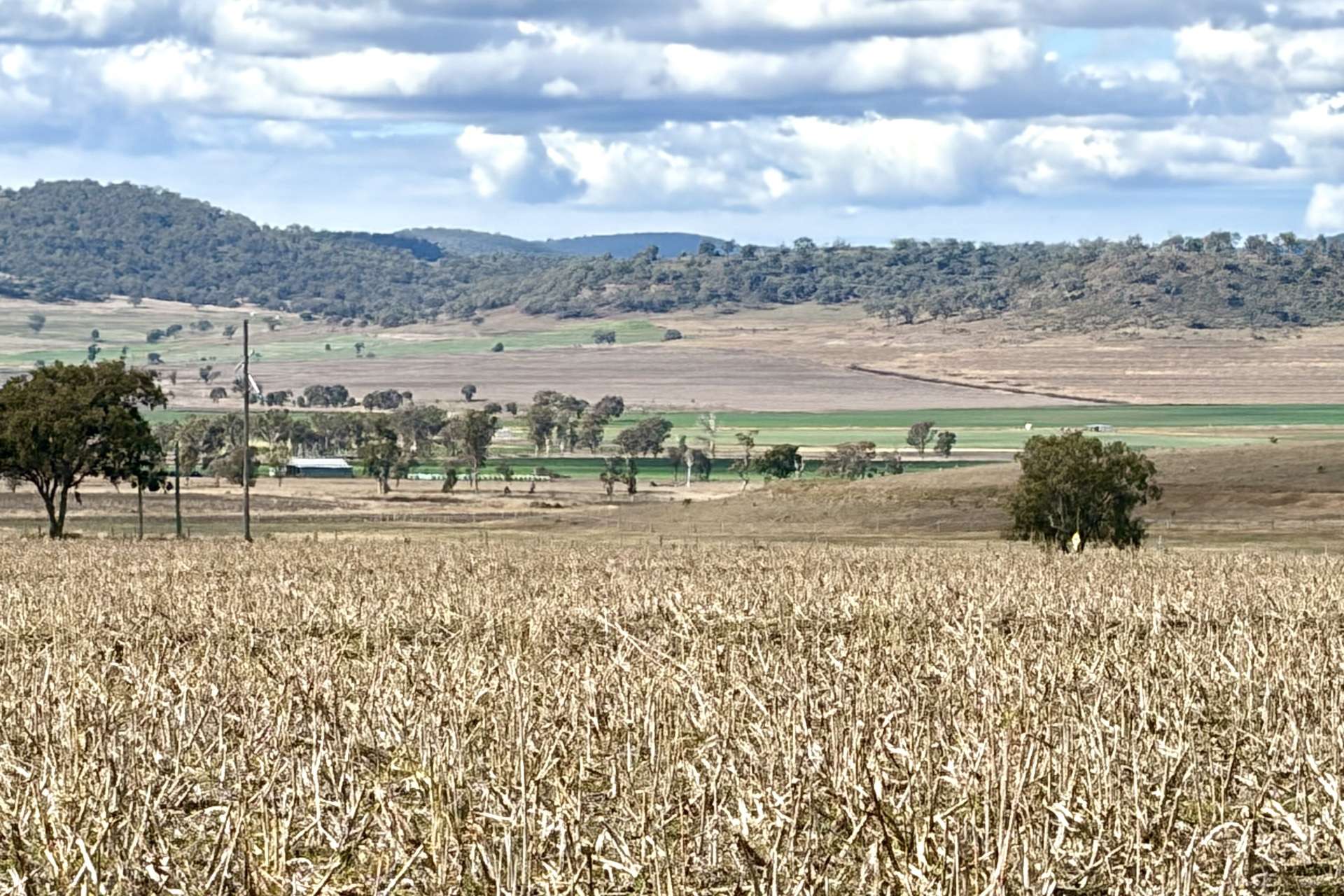 Lot Lot 4,  Steele Rudd Road, Budgee For Sale by Farmbuy.com - image 14