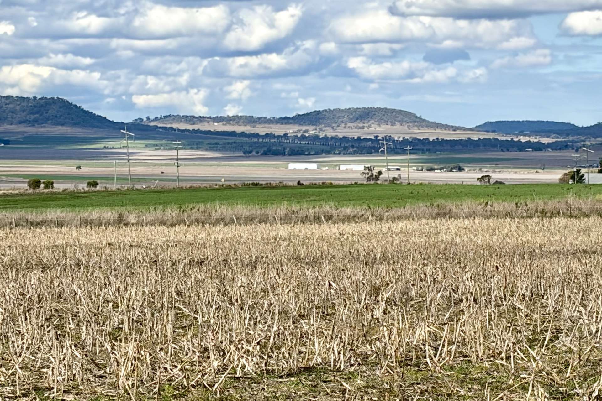 Lot Lot 4,  Steele Rudd Road, Budgee For Sale by Farmbuy.com - image 10