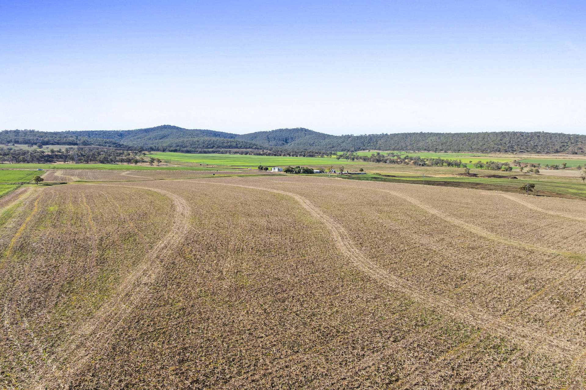 Lot Lot 4,  Steele Rudd Road, Budgee For Sale by Farmbuy.com - image 5