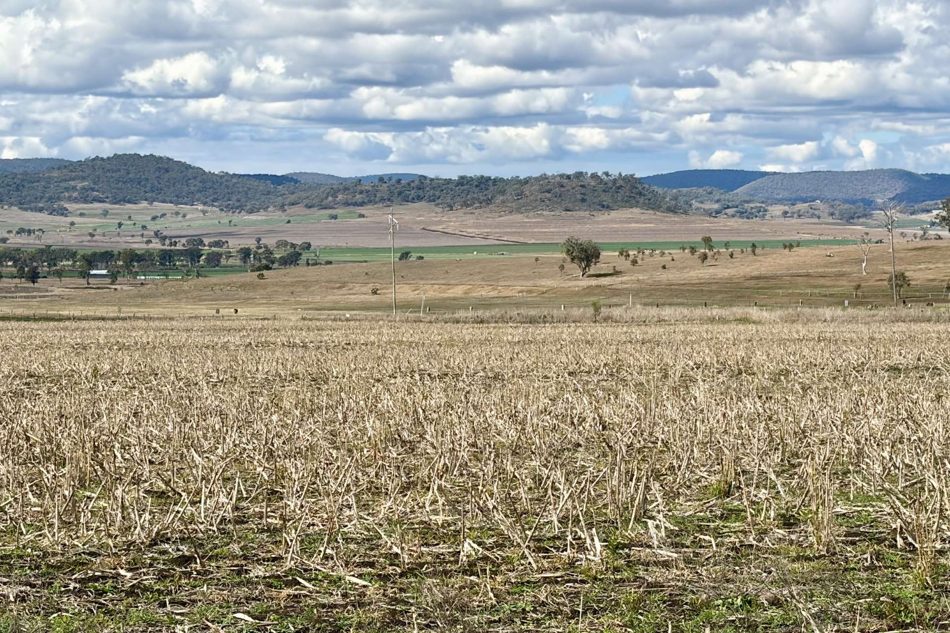 Lot Lot 4,  Steele Rudd Road, Budgee For Sale by Farmbuy.com - image 16
