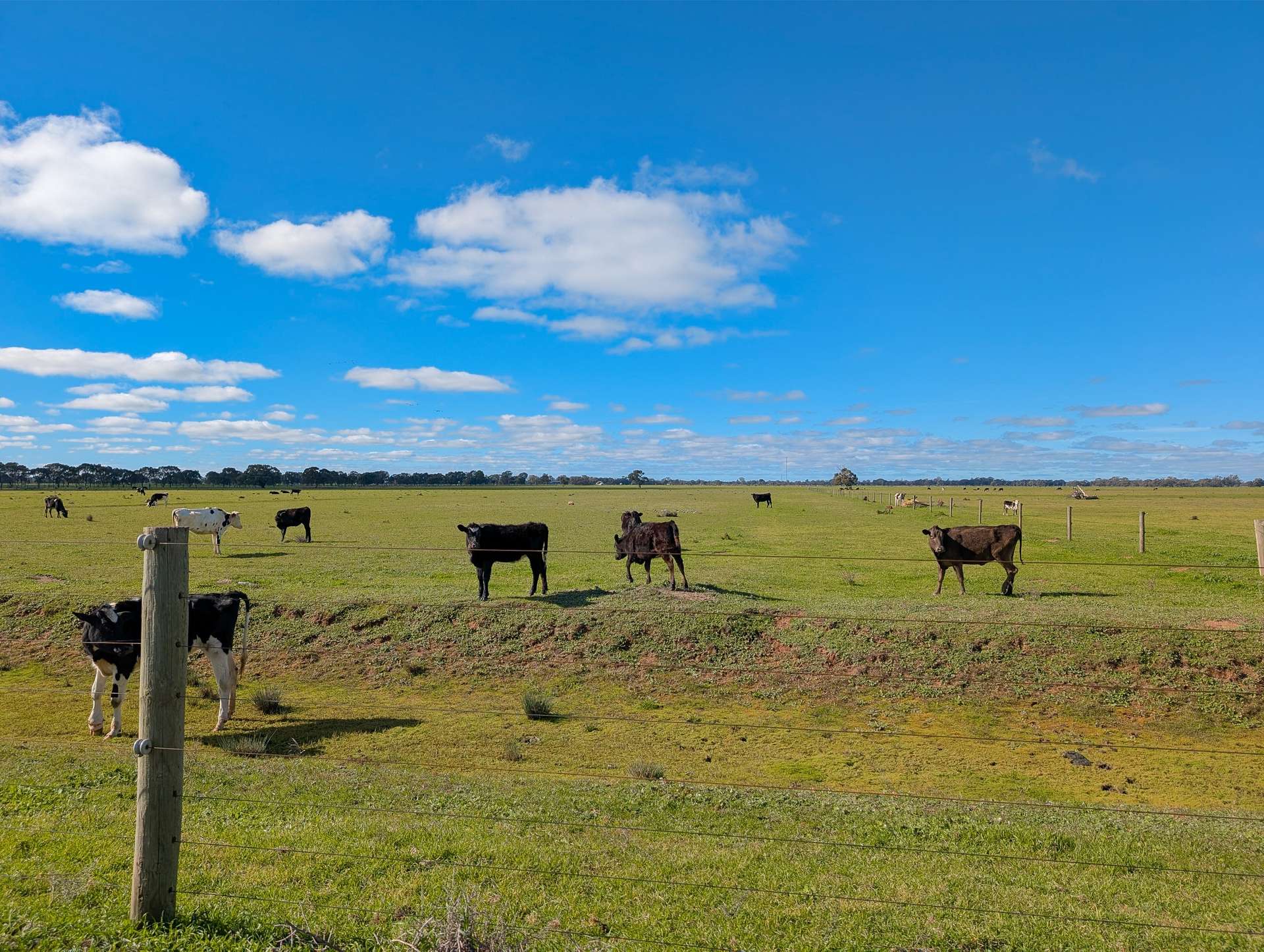 614 Nullabooma Road, Wakool For Sale by Farmbuy.com - image 35