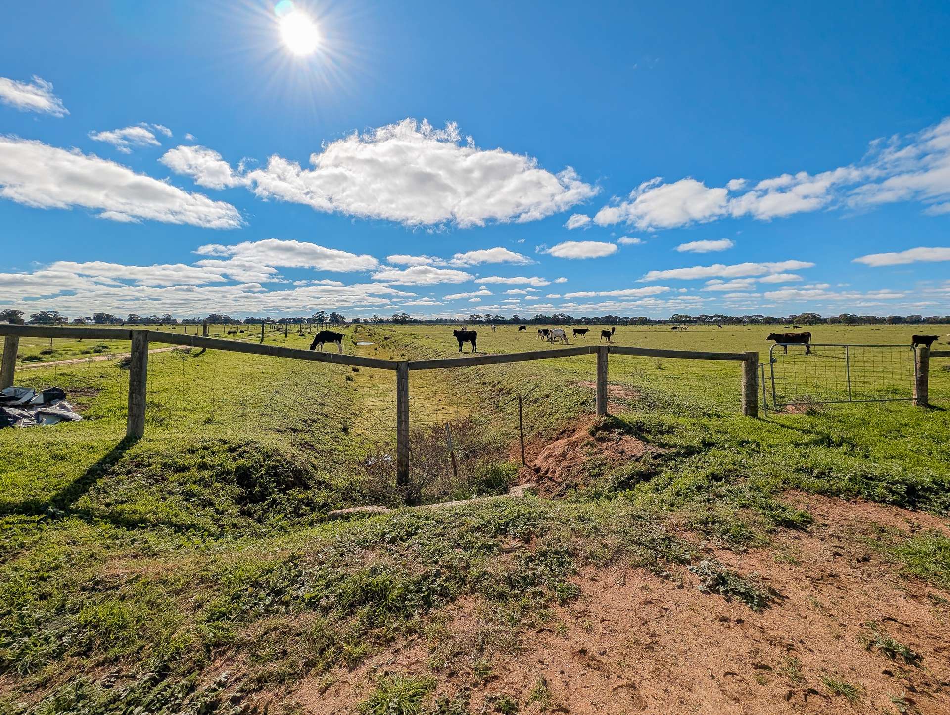 614 Nullabooma Road, Wakool For Sale by Farmbuy.com - image 31