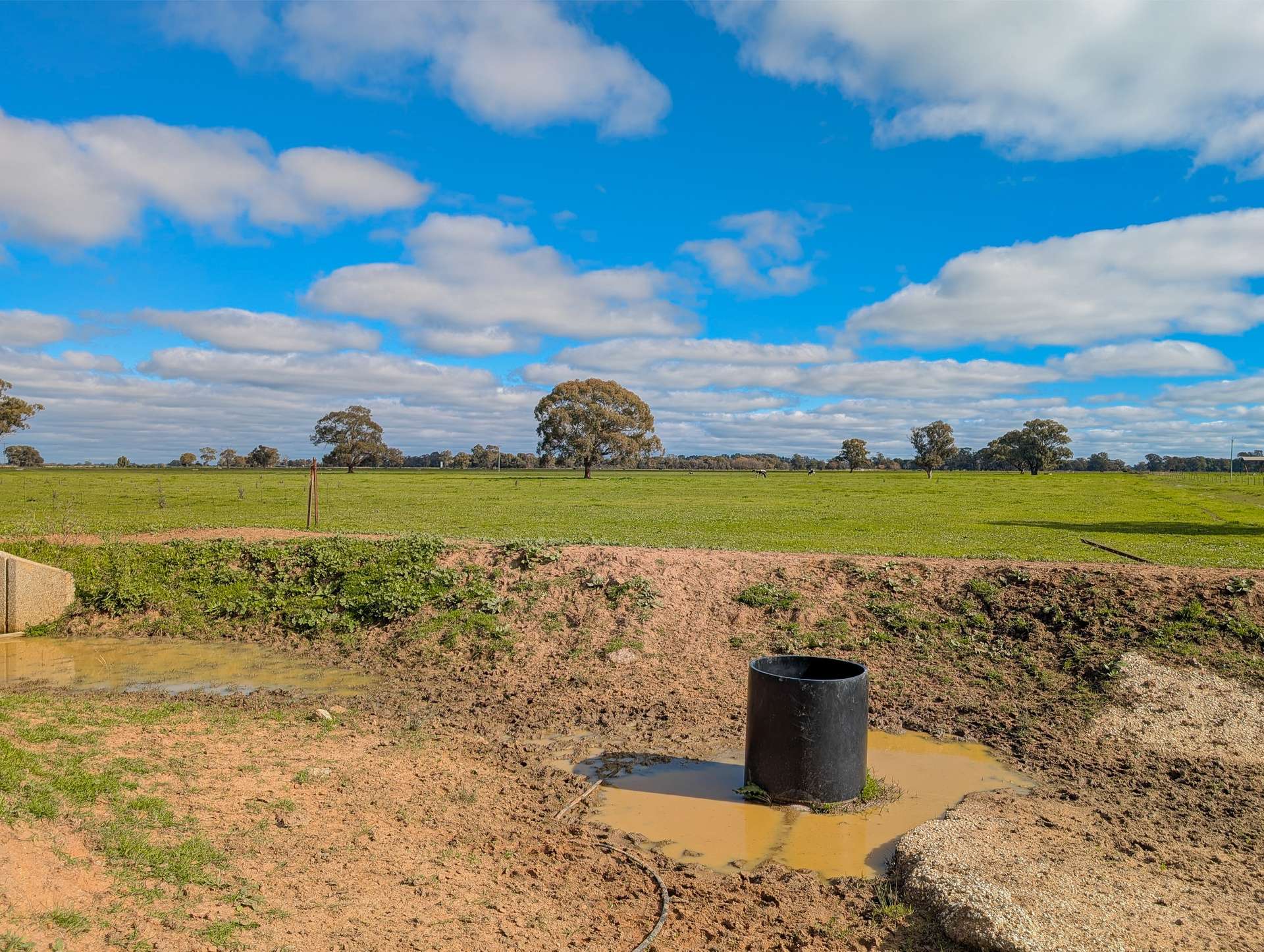 614 Nullabooma Road, Wakool For Sale by Farmbuy.com - image 33