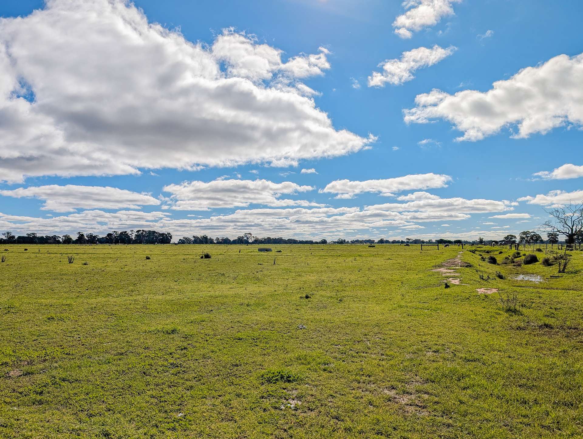 614 Nullabooma Road, Wakool For Sale by Farmbuy.com - image 34