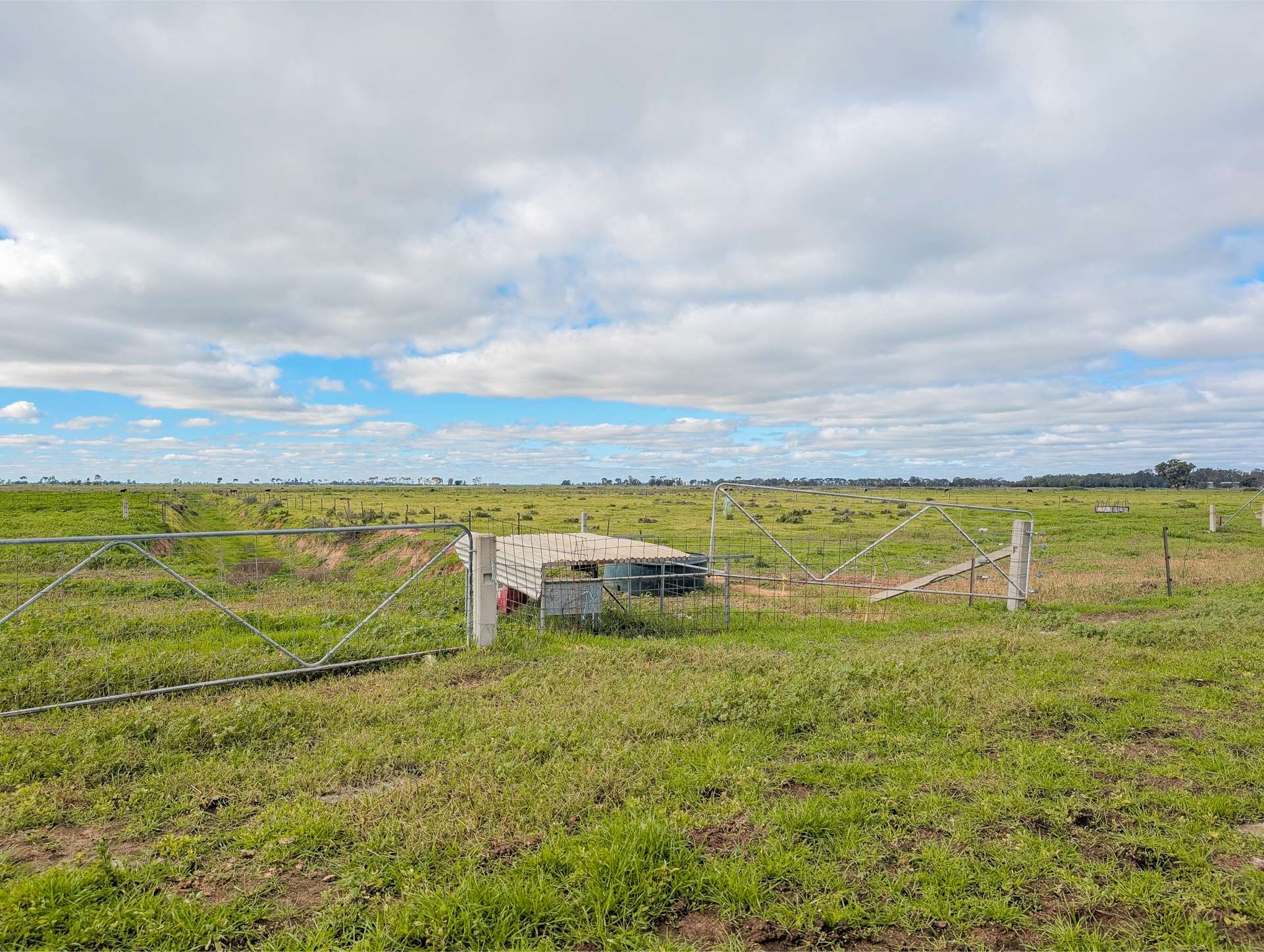 142 Walker Lane, Wakool For Sale by Farmbuy.com - image 35