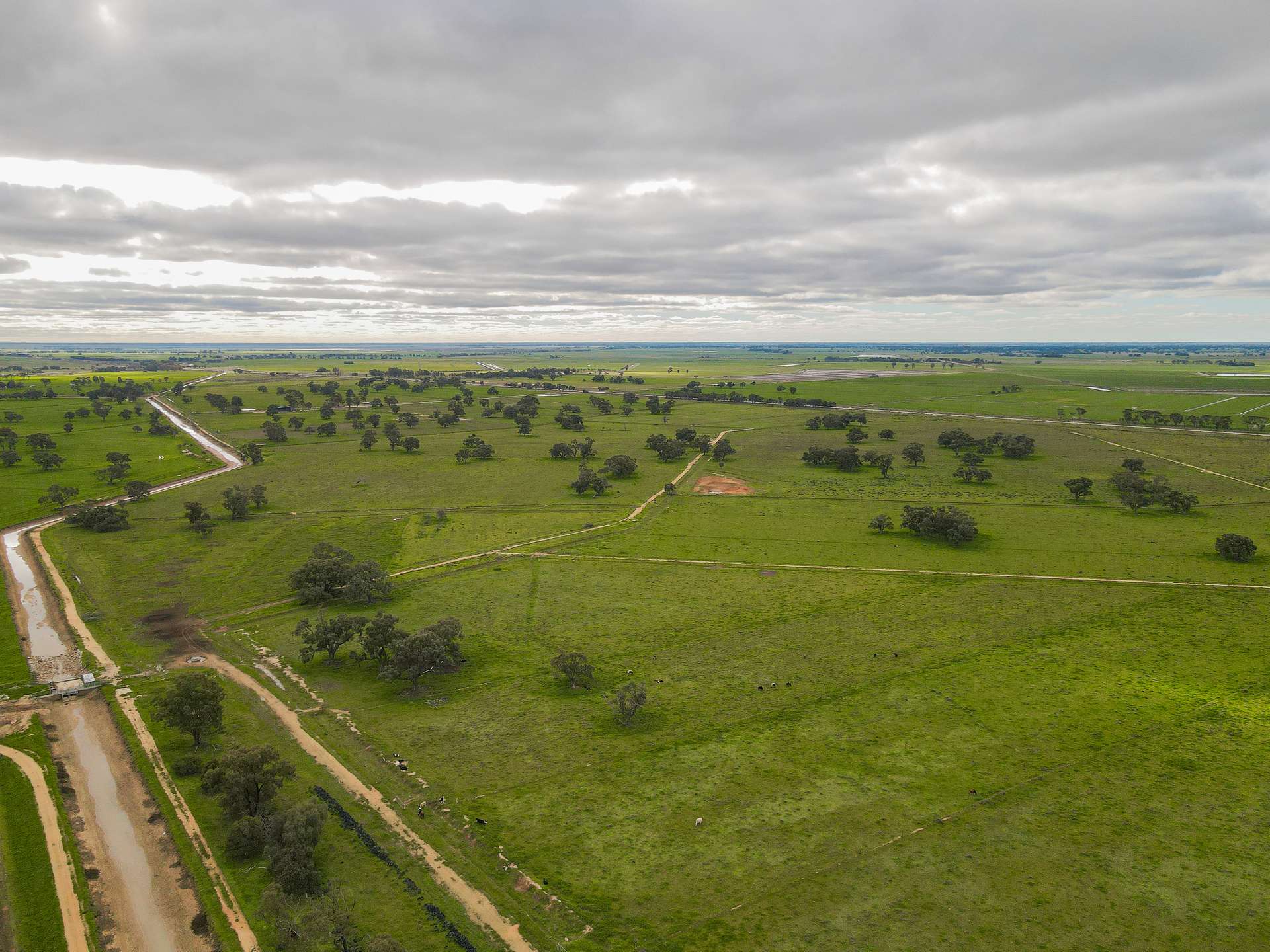 142 Walker Lane, Wakool For Sale by Farmbuy.com - image 34