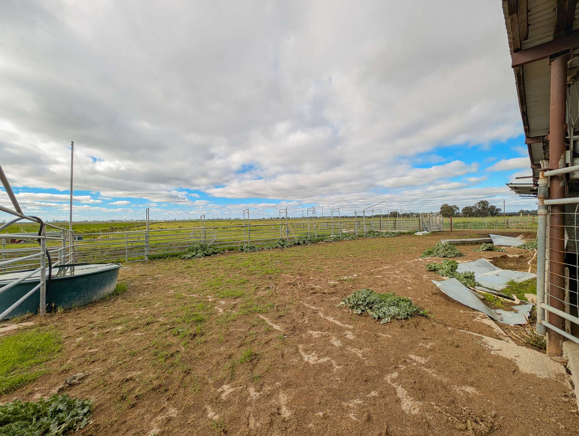 142 Walker Lane, Wakool For Sale by Farmbuy.com - image 18