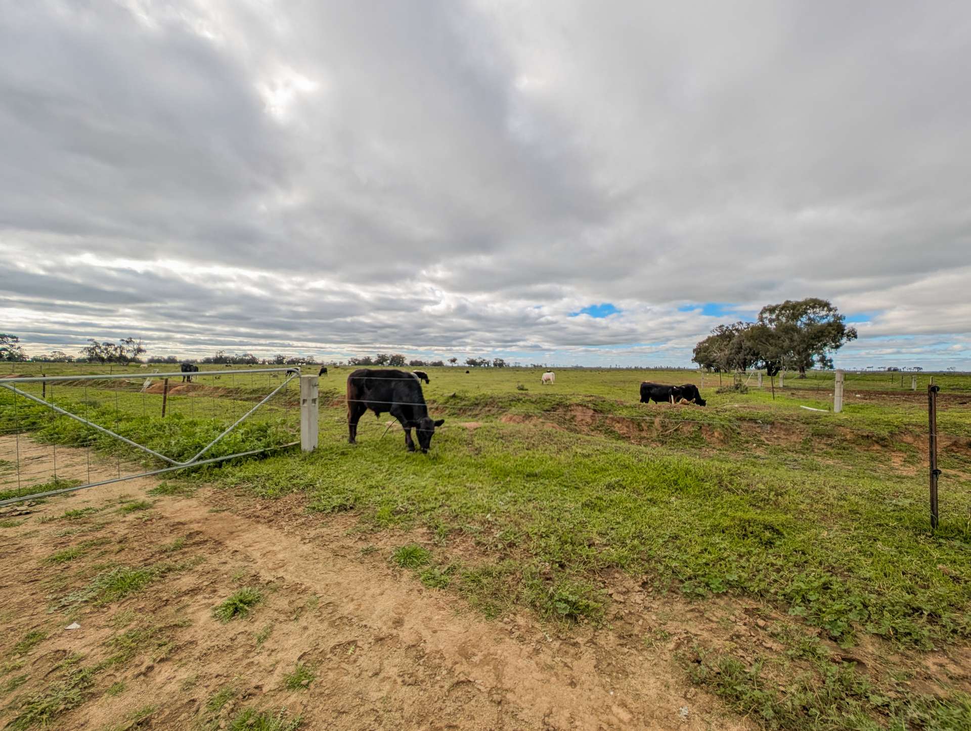 142 Walker Lane, Wakool For Sale by Farmbuy.com - image 30