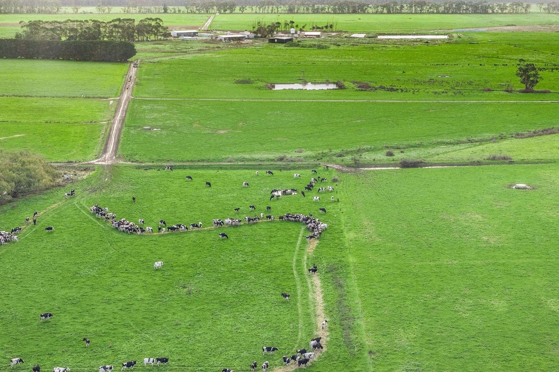 801 Timboon-Colac Road, Jancourt East For Sale by Farmbuy.com - image 14